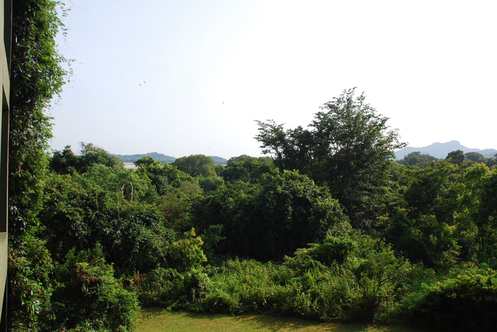 carnet-voyage-sri-lanka-sigiriya-heritance-kandalama-hotel-by-le-polyedre_19