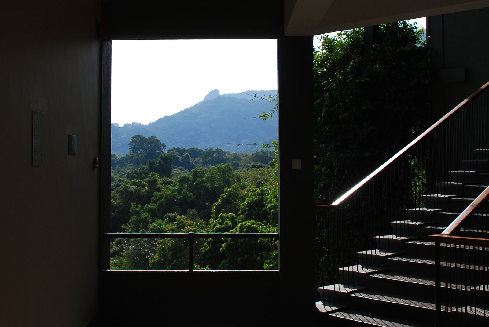 carnet-voyage-sri-lanka-sigiriya-heritance-kandalama-hotel-by-le-polyedre_20