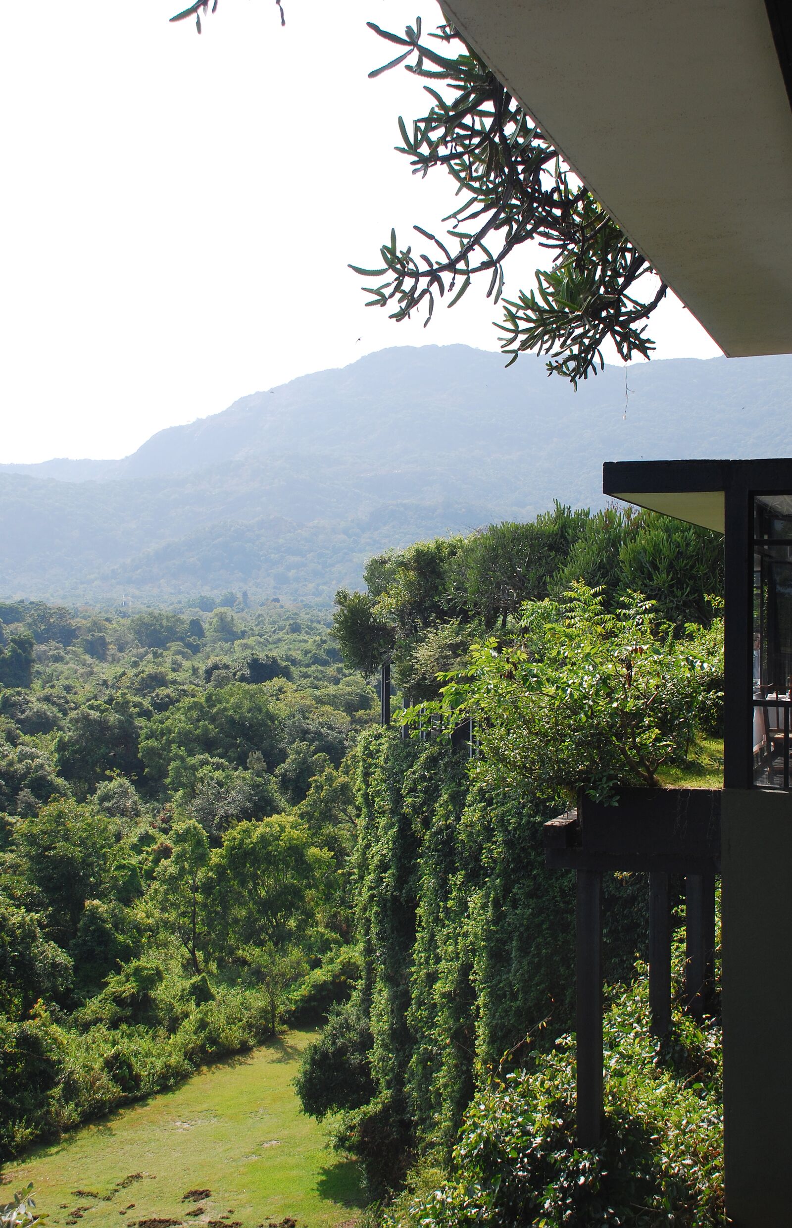 carnet-voyage-sri-lanka-sigiriya-heritance-kandalama-hotel-by-le-polyedre_4