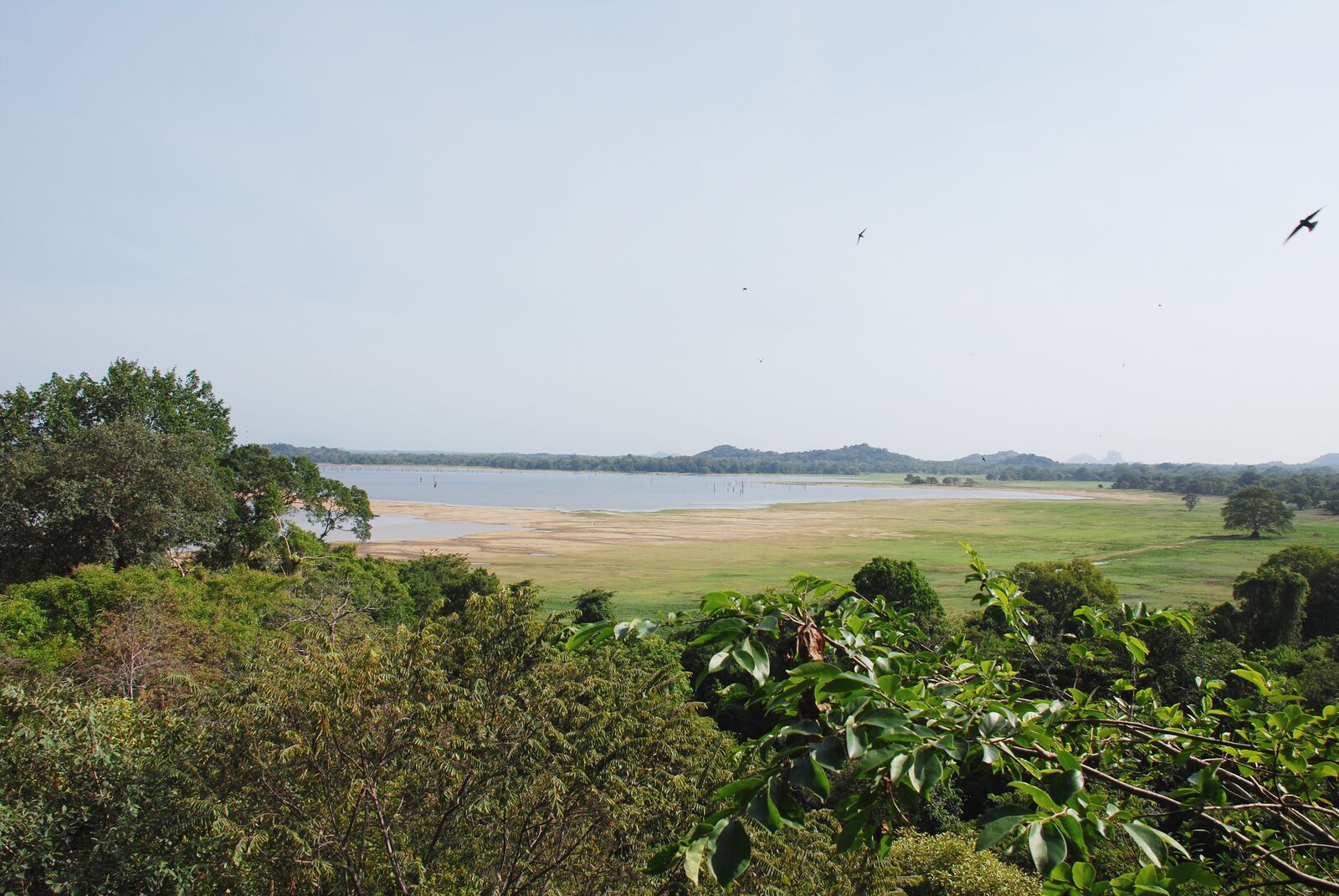 carnet-voyage-sri-lanka-sigiriya-heritance-kandalama-hotel-by-le-polyedre_5