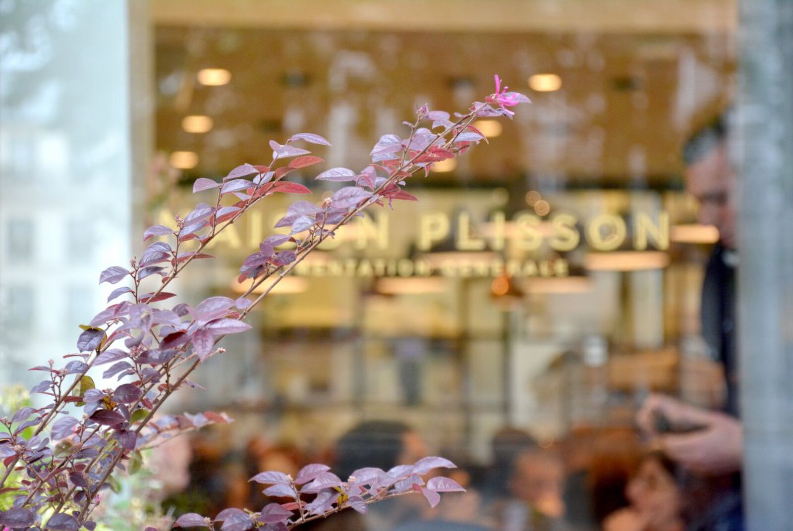 maison-plisson-paris-alimentation-generale-cafe-resto-by-le-polyedre_16