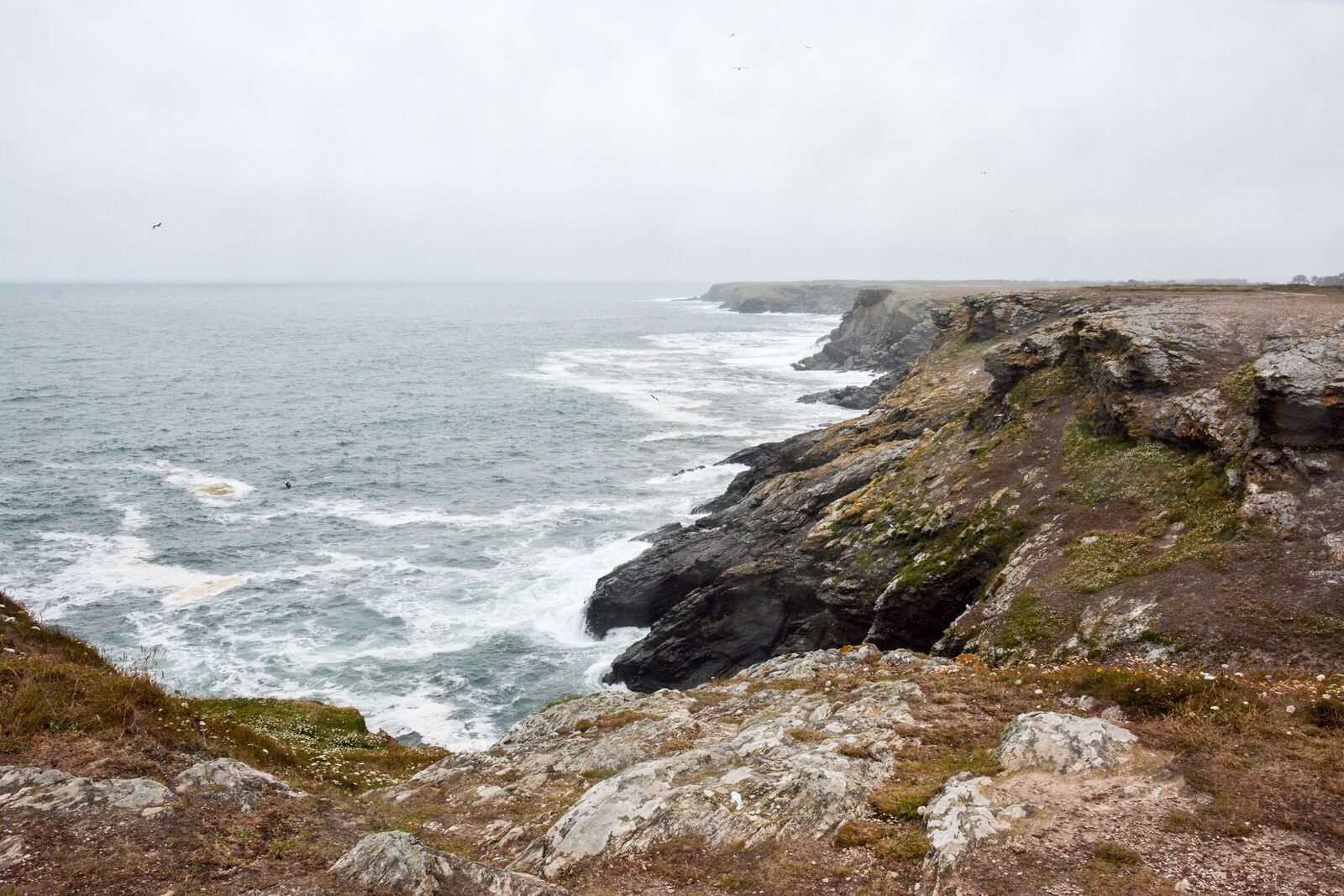 week-end-bretagne-morbihan-lorient-ile-de-groix-voyage-by-le-polyedre (136)