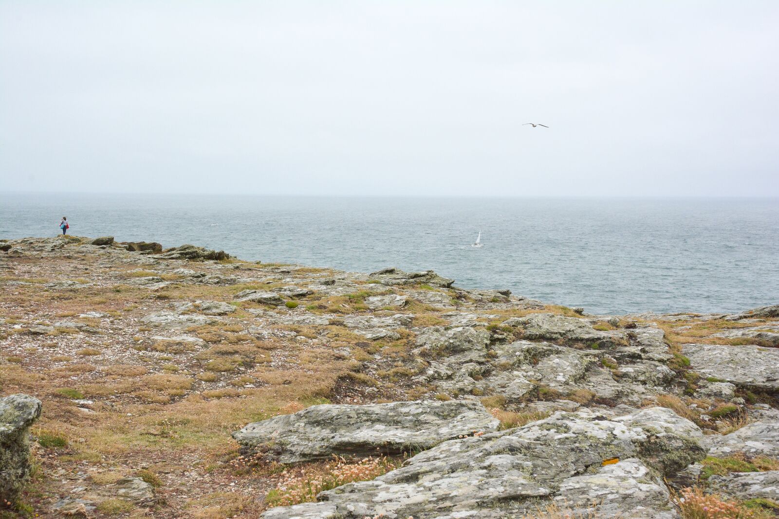 week-end-bretagne-morbihan-lorient-ile-de-groix-voyage-by-le-polyedre (148)