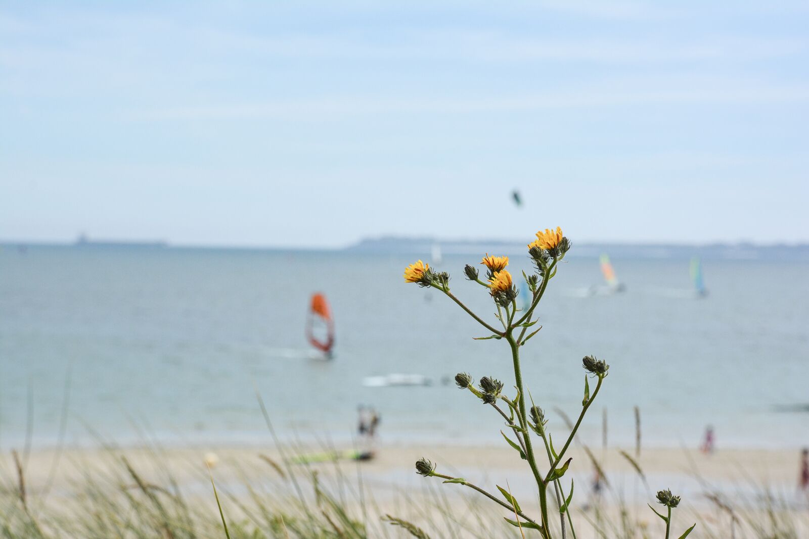 week-end-bretagne-morbihan-lorient-ile-de-groix-voyage-by-le-polyedre (28)