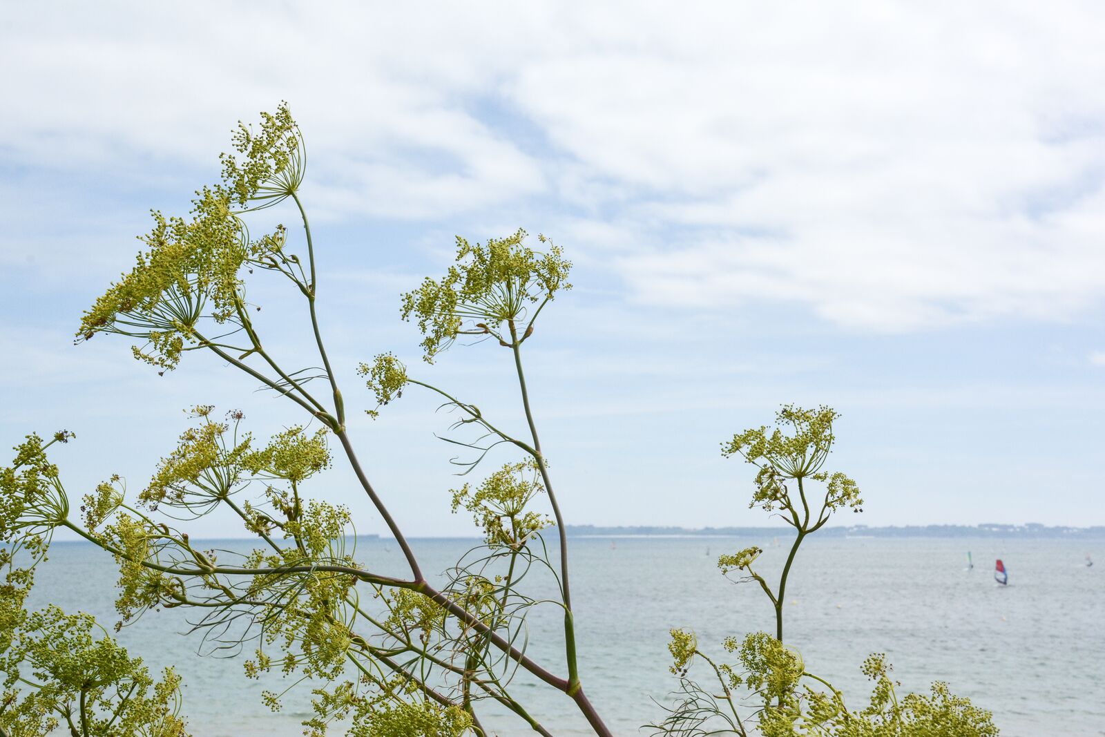 week-end-bretagne-morbihan-lorient-ile-de-groix-voyage-by-le-polyedre (36)