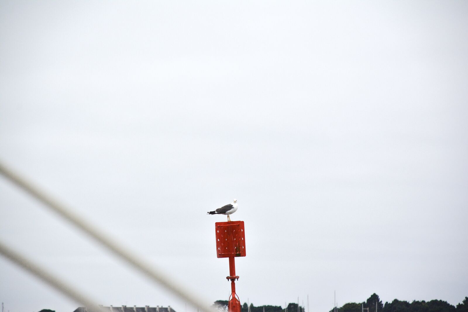 week-end-bretagne-morbihan-lorient-ile-de-groix-voyage-by-le-polyedre (57)
