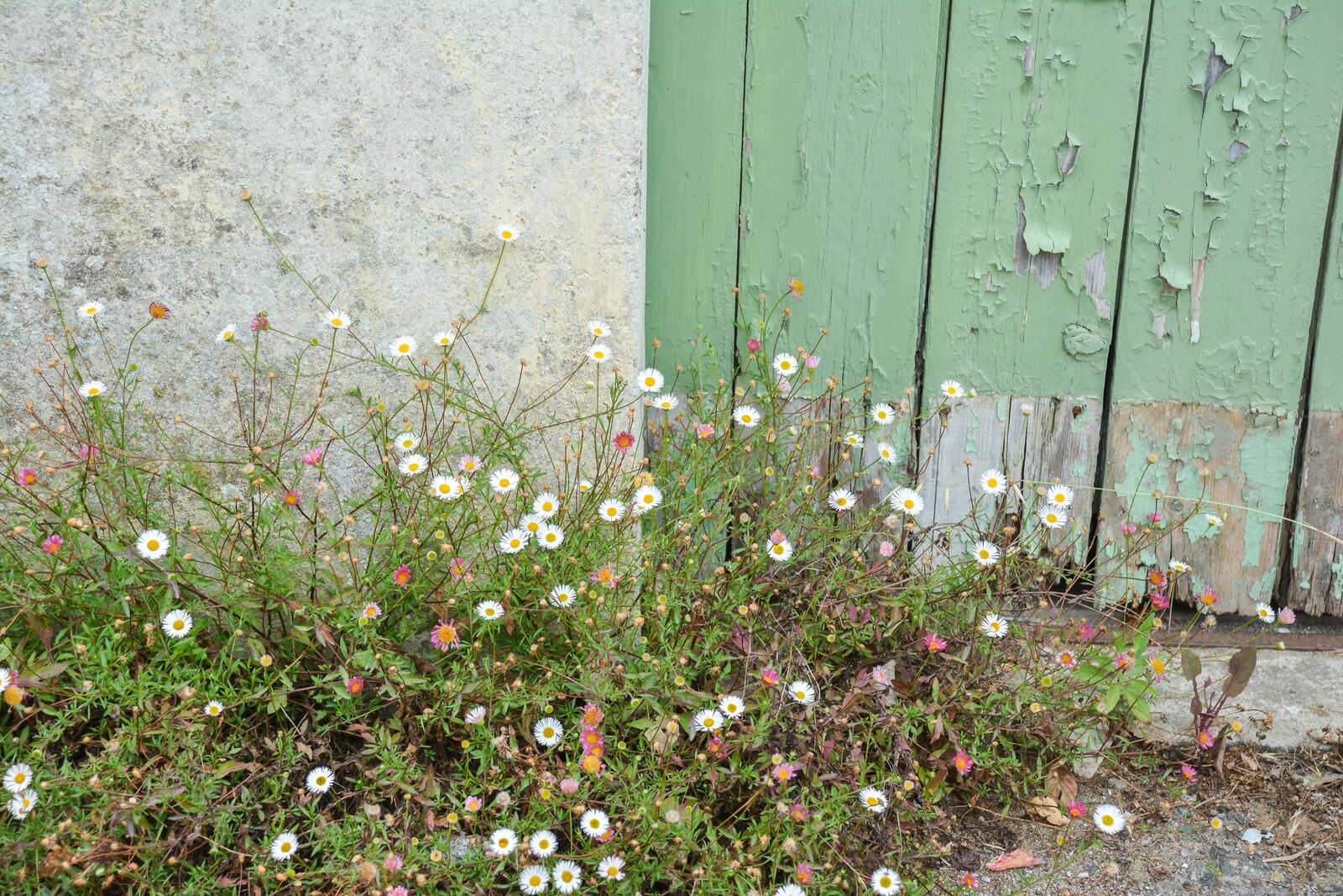 week-end-bretagne-morbihan-lorient-ile-de-groix-voyage-by-le-polyedre (88)