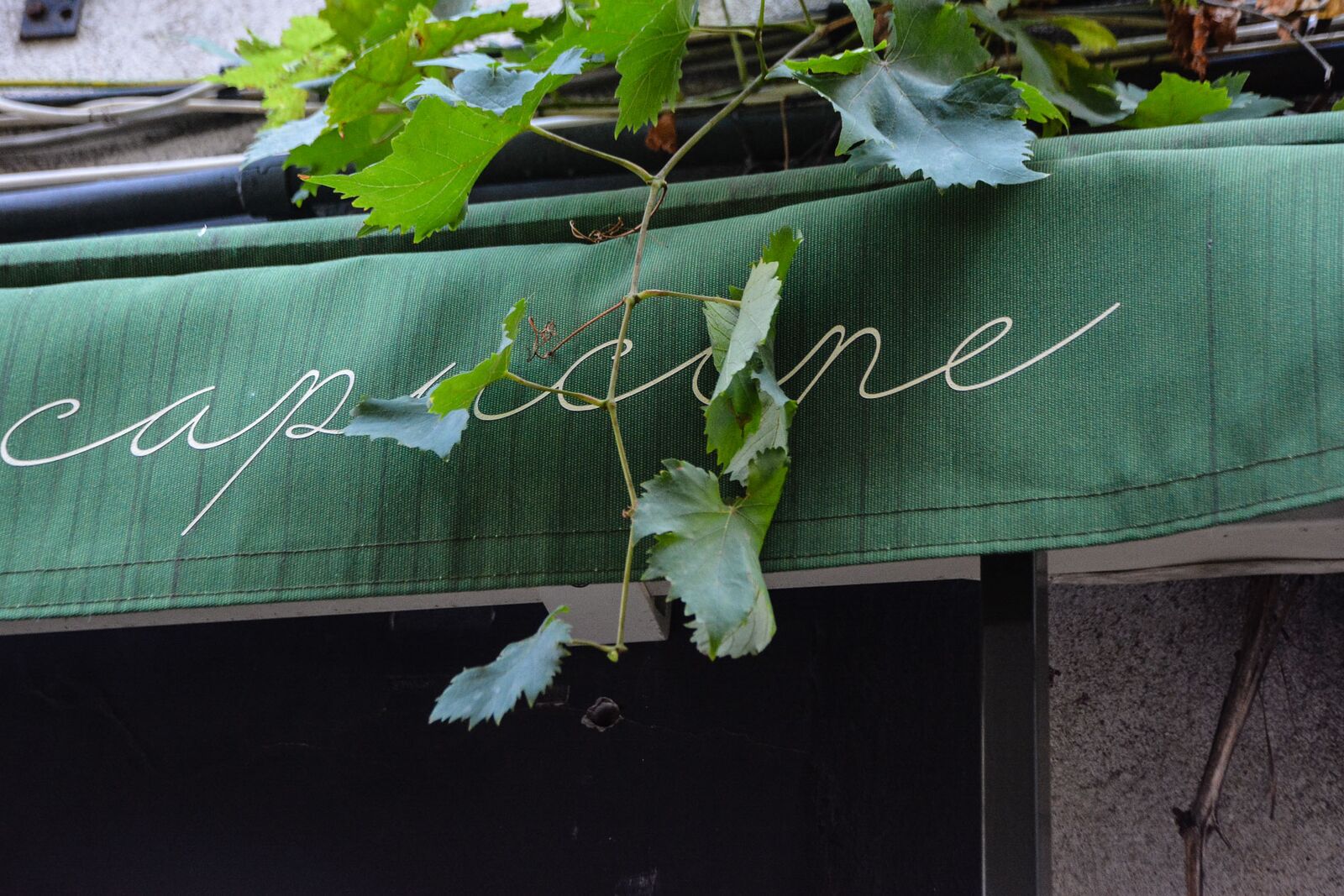 capucine restaurant paris