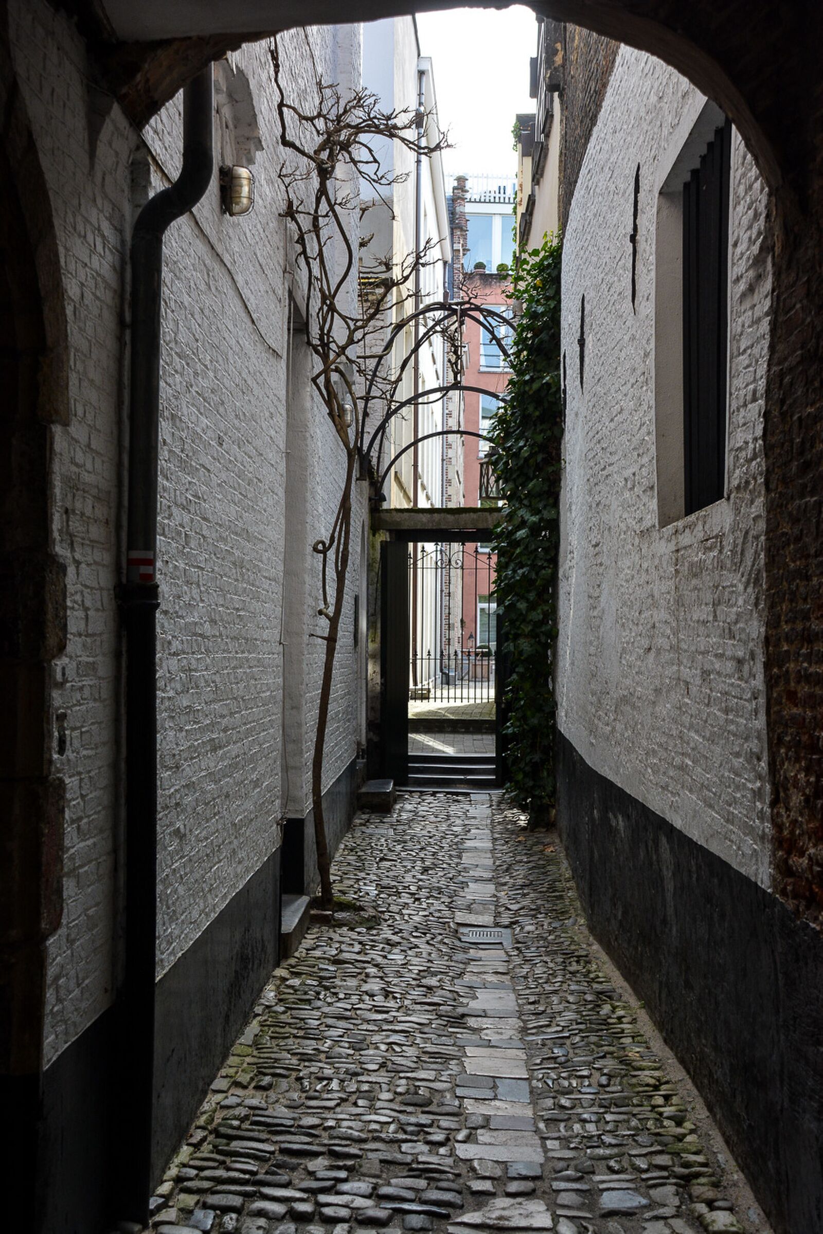 voyage cityguide anvers antwerpen 