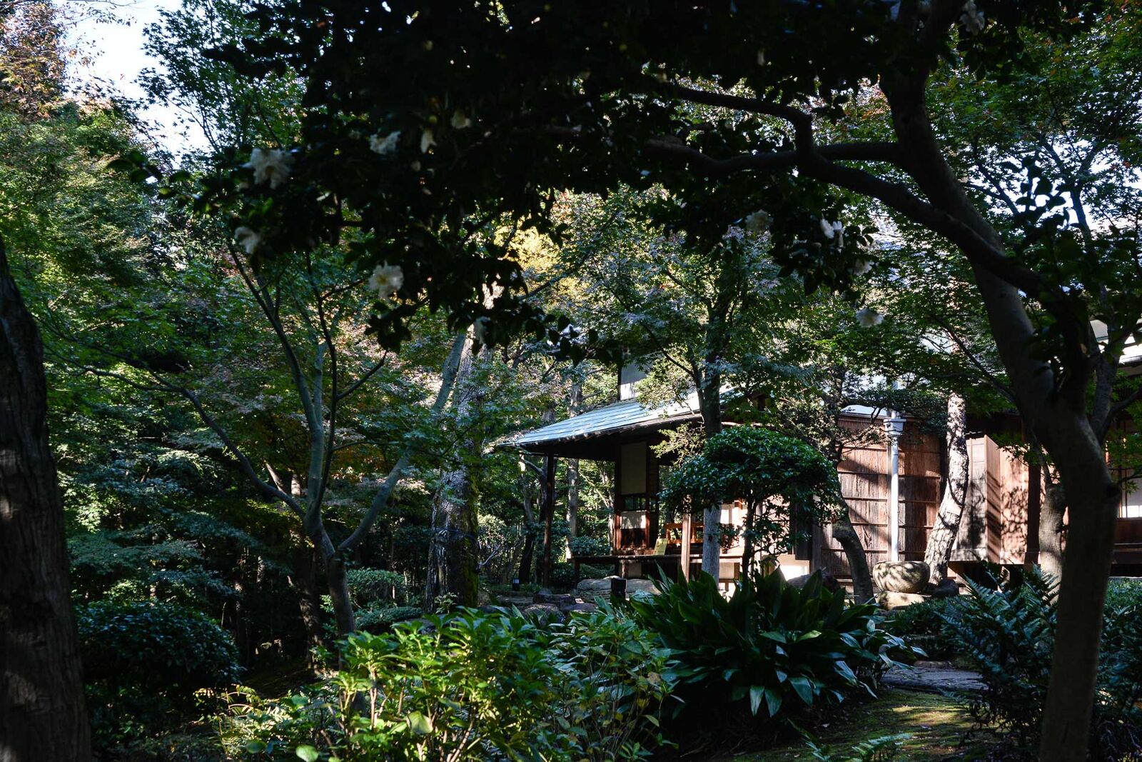 voyage tokyo cityguide maison traditionnelle kyu asakura