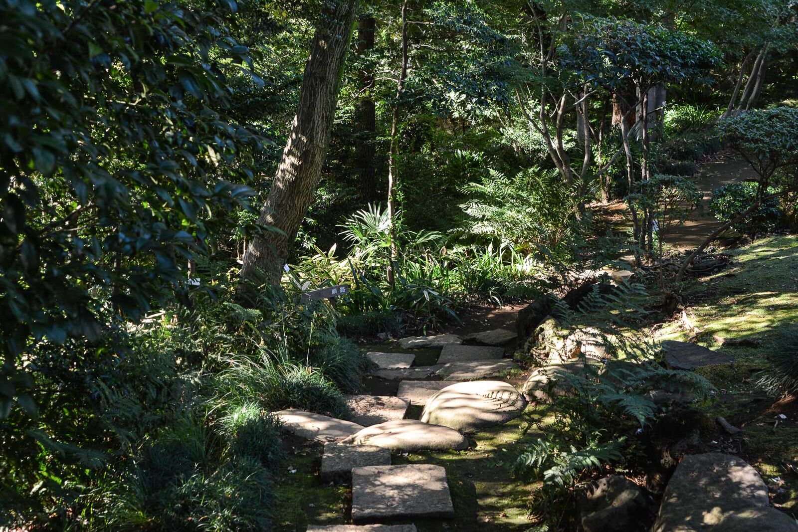 voyage tokyo cityguide maison traditionnelle kyu asakura