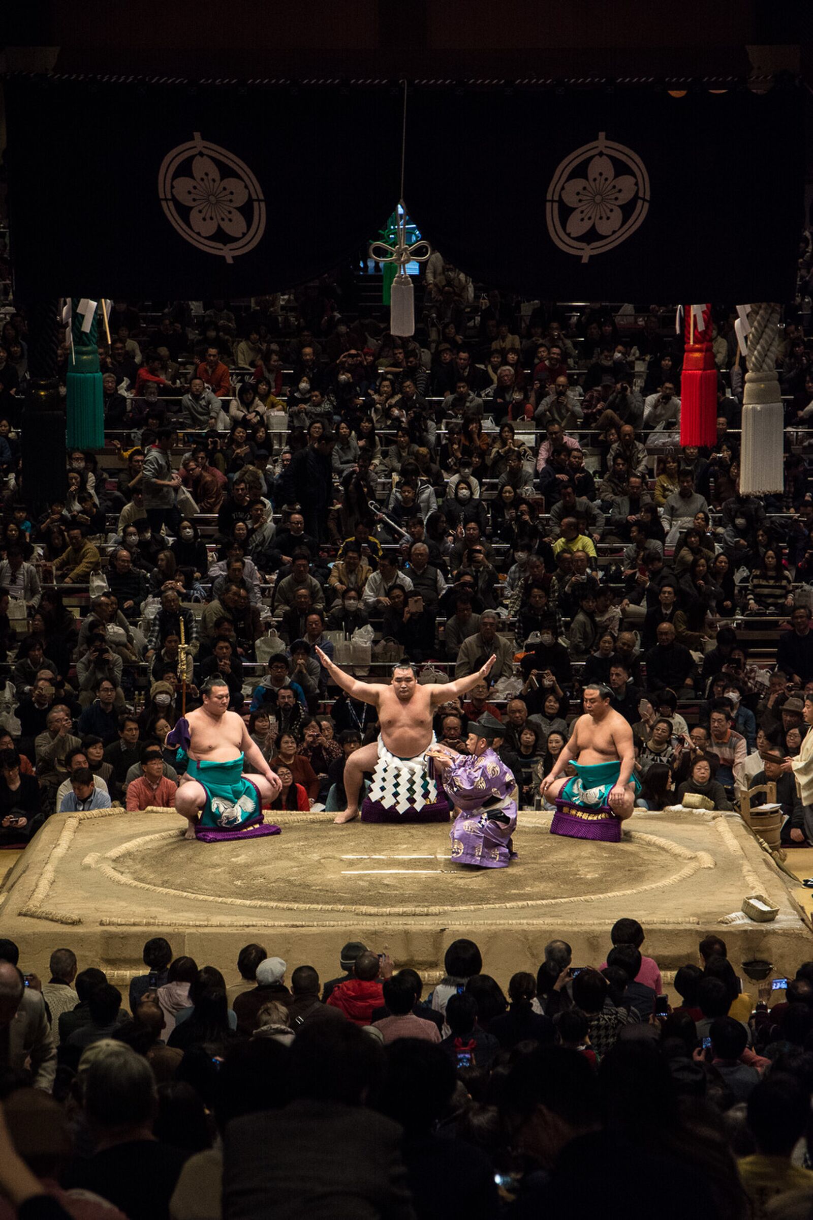 voyage japon voir tournoi sumo 
