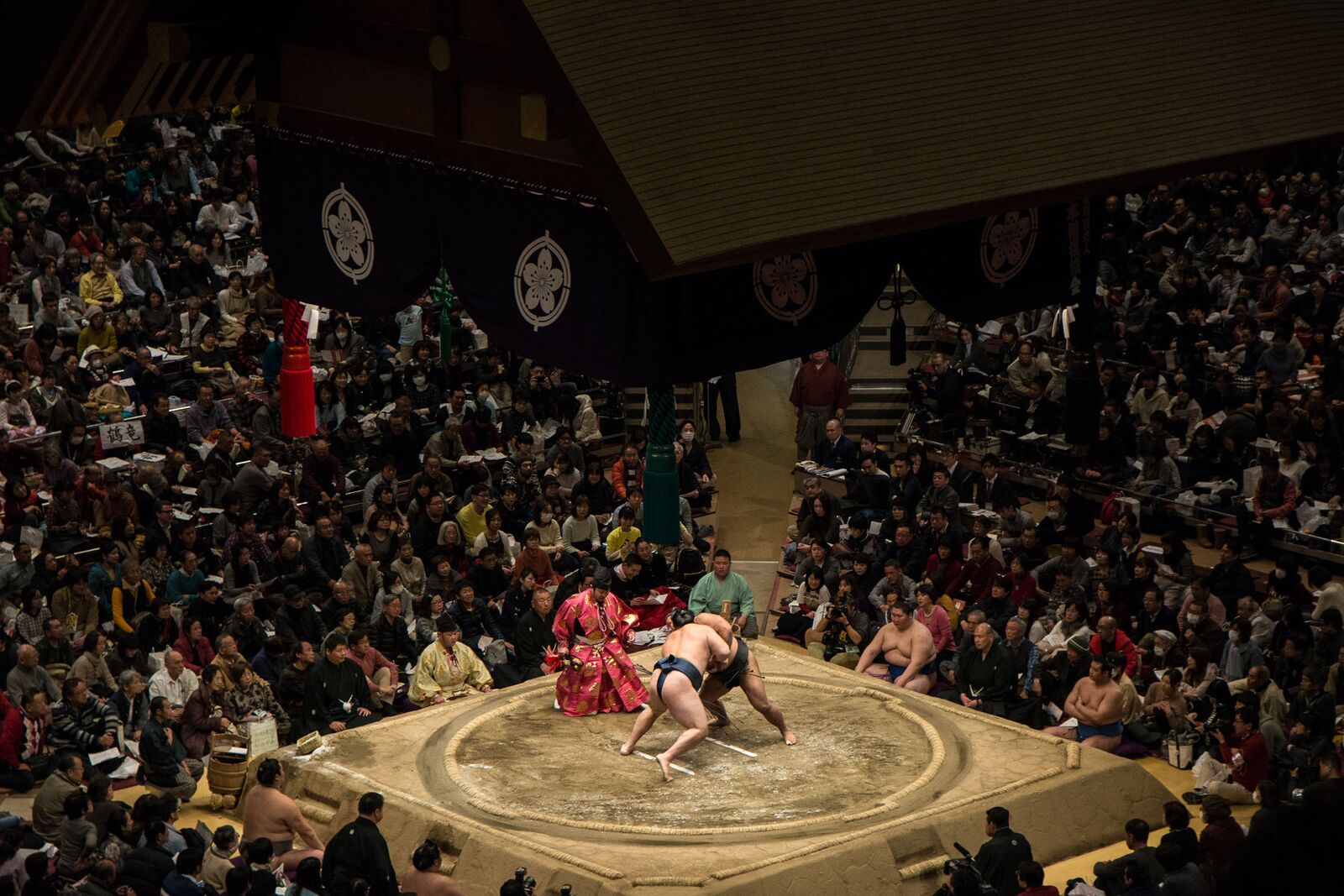voyage japon voir tournoi sumo 