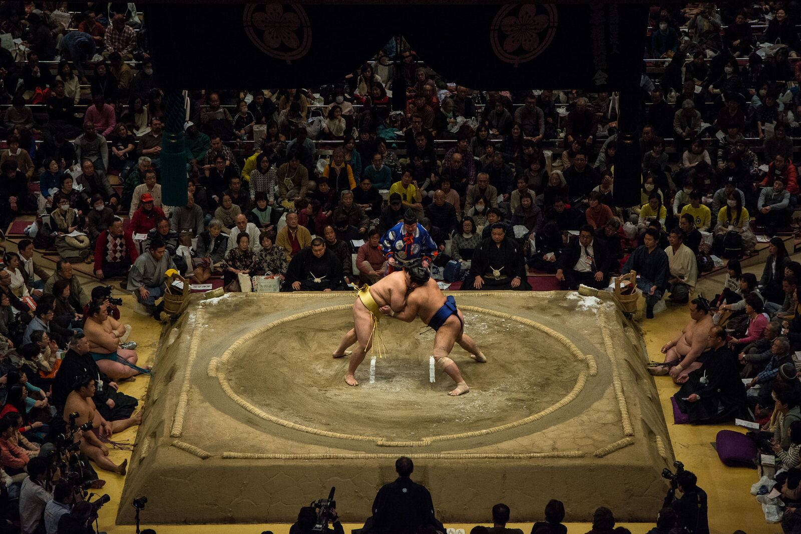 voyage japon voir tournoi sumo 