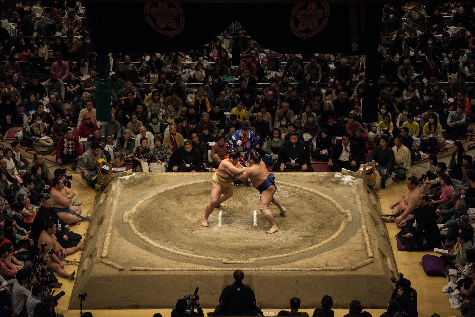 voyage japon voir tournoi sumo 