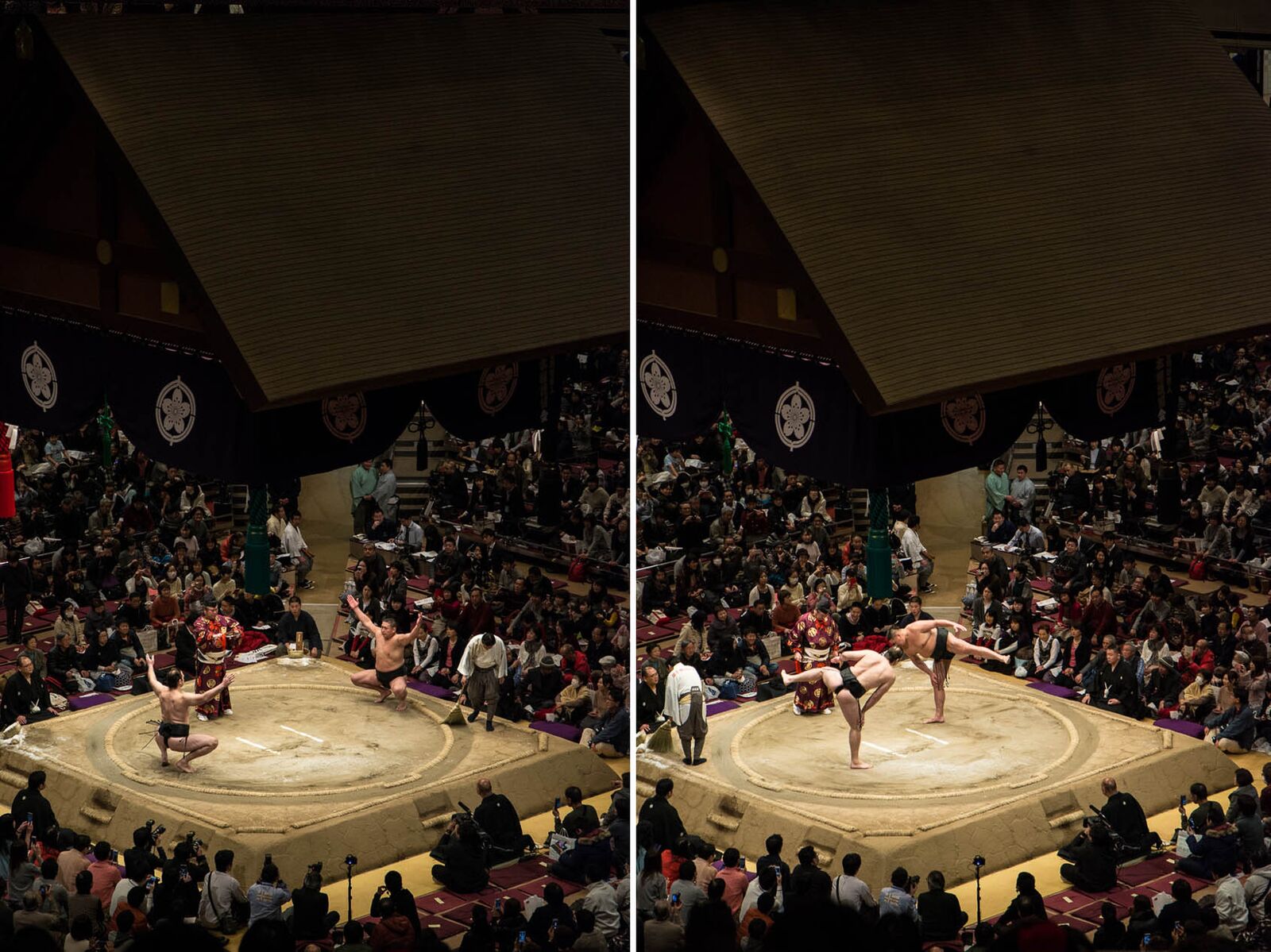 voyage japon voir tournoi sumo 