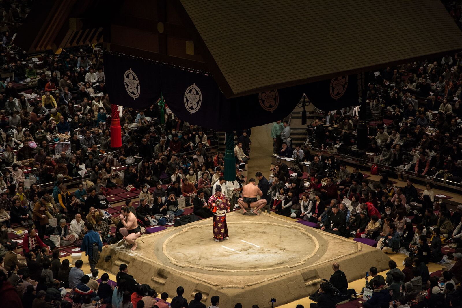 voyage japon voir tournoi sumo 