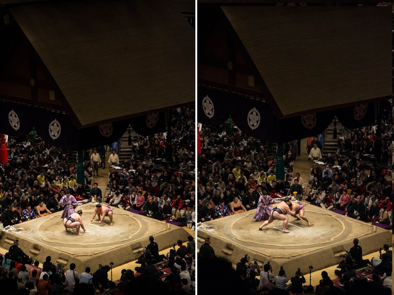 voyage japon voir tournoi sumo 