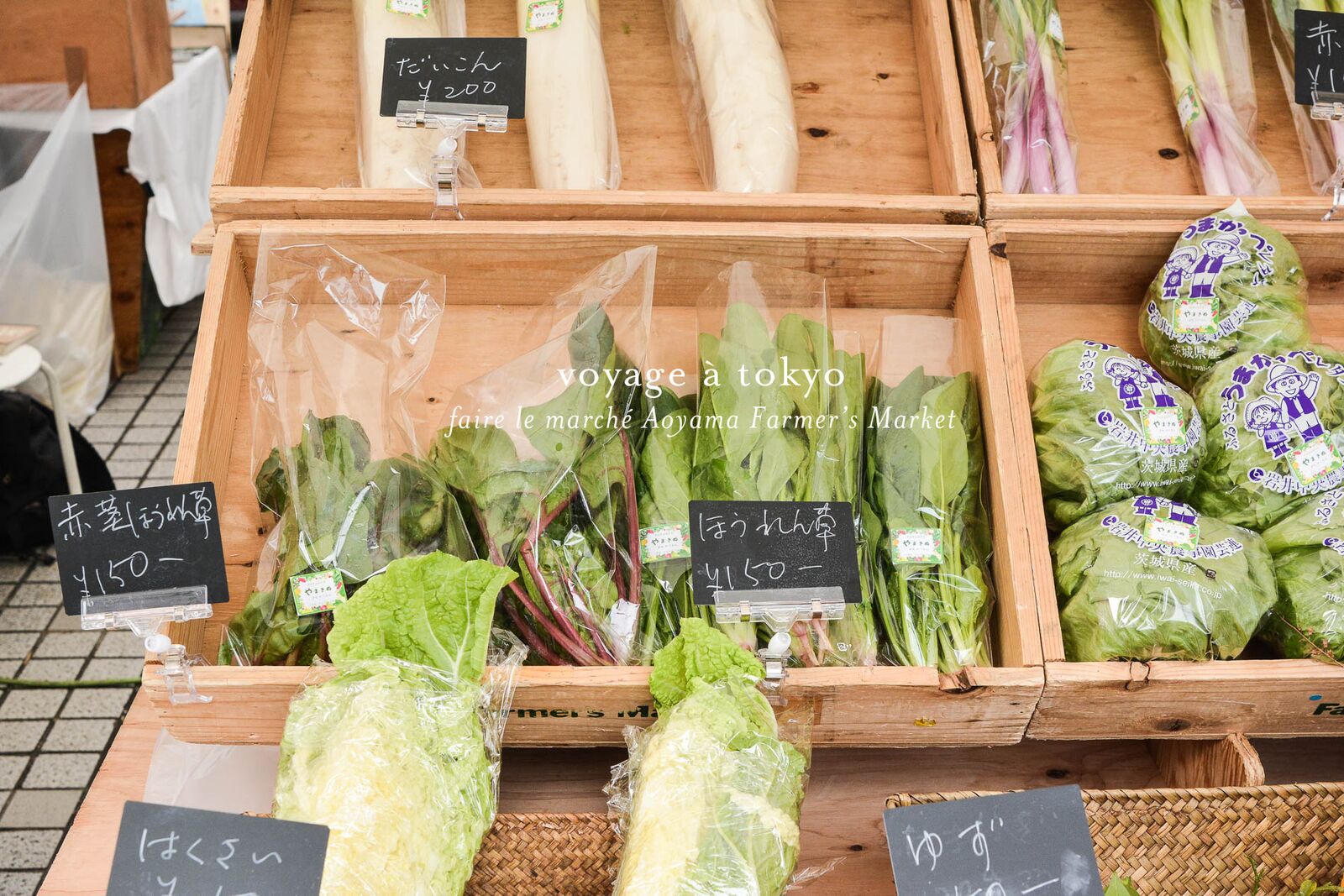 voyage tokyo marché bio aoyama farmer's market