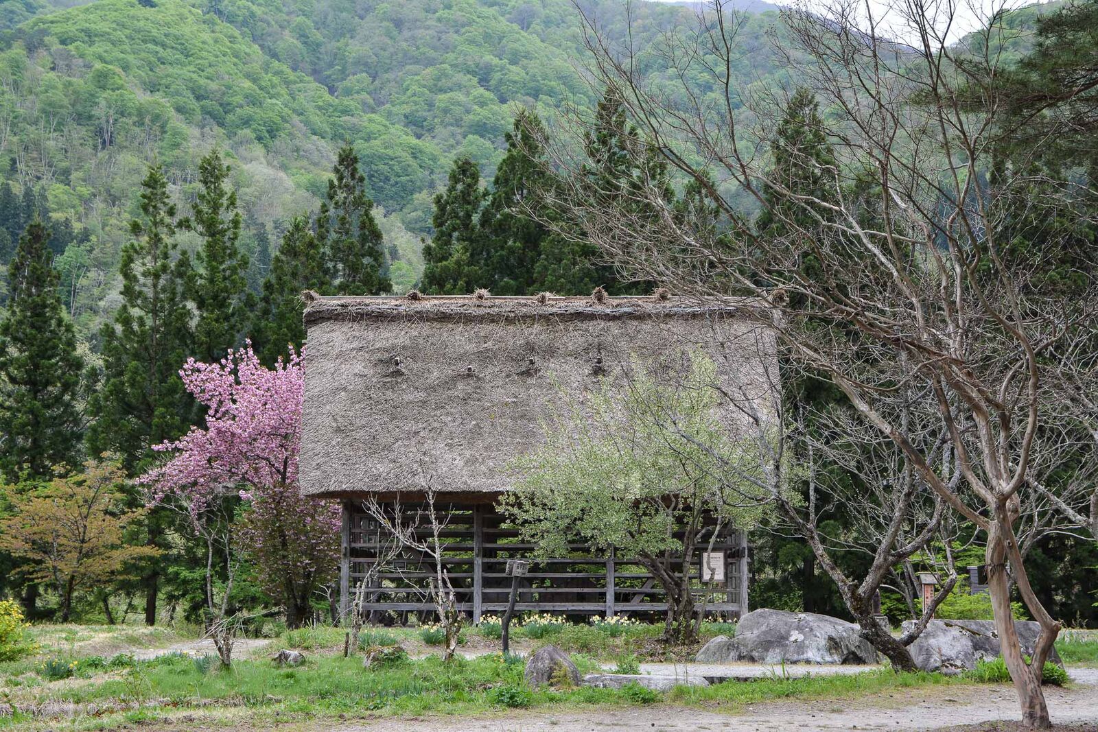 voyage dans le village d'Ogimachi dans les Alpes Japonaises au Japon dans la région de Shirakawa-Go