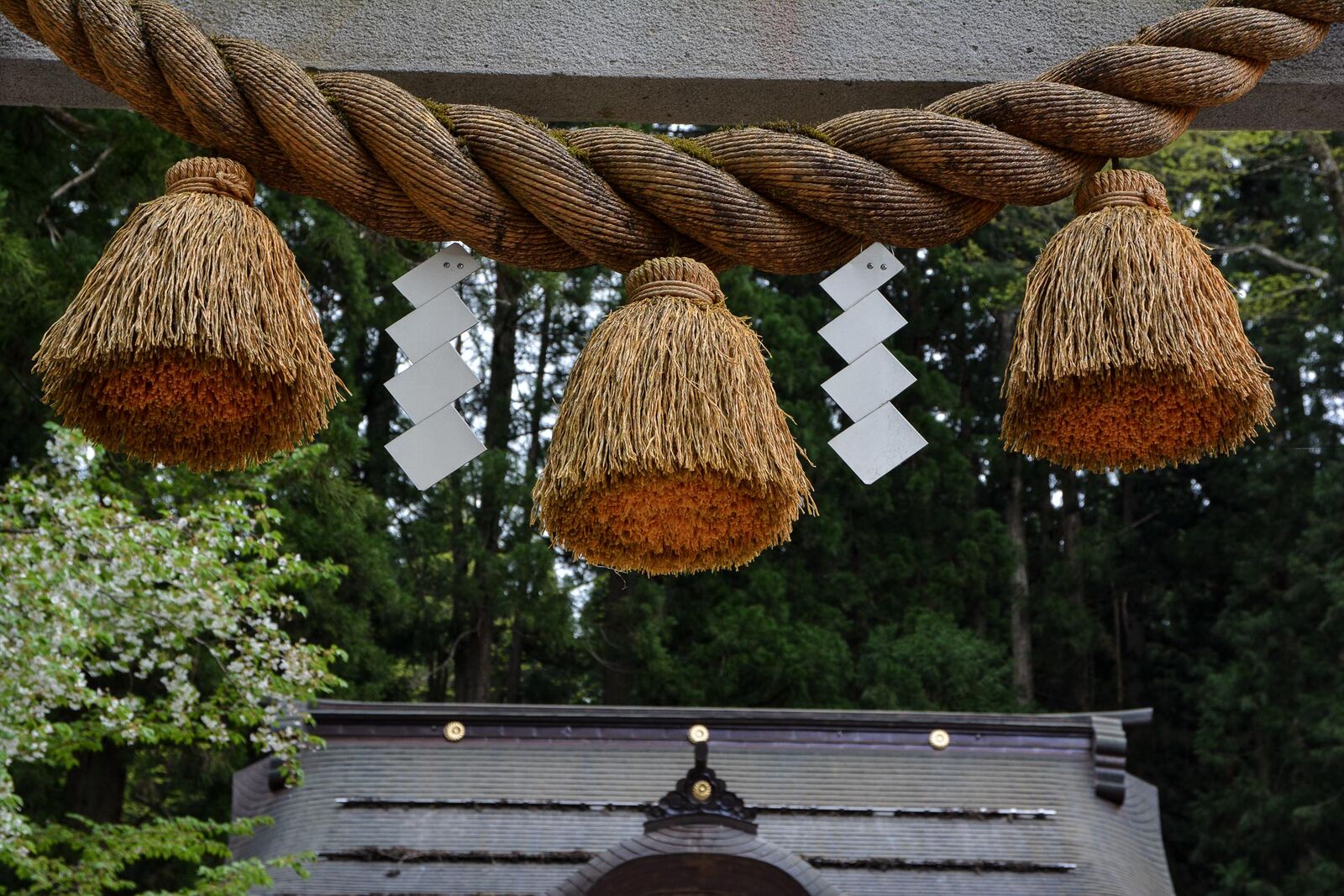 voyage dans le village d'Ogimachi dans les Alpes Japonaises au Japon dans la région de Shirakawa-Go