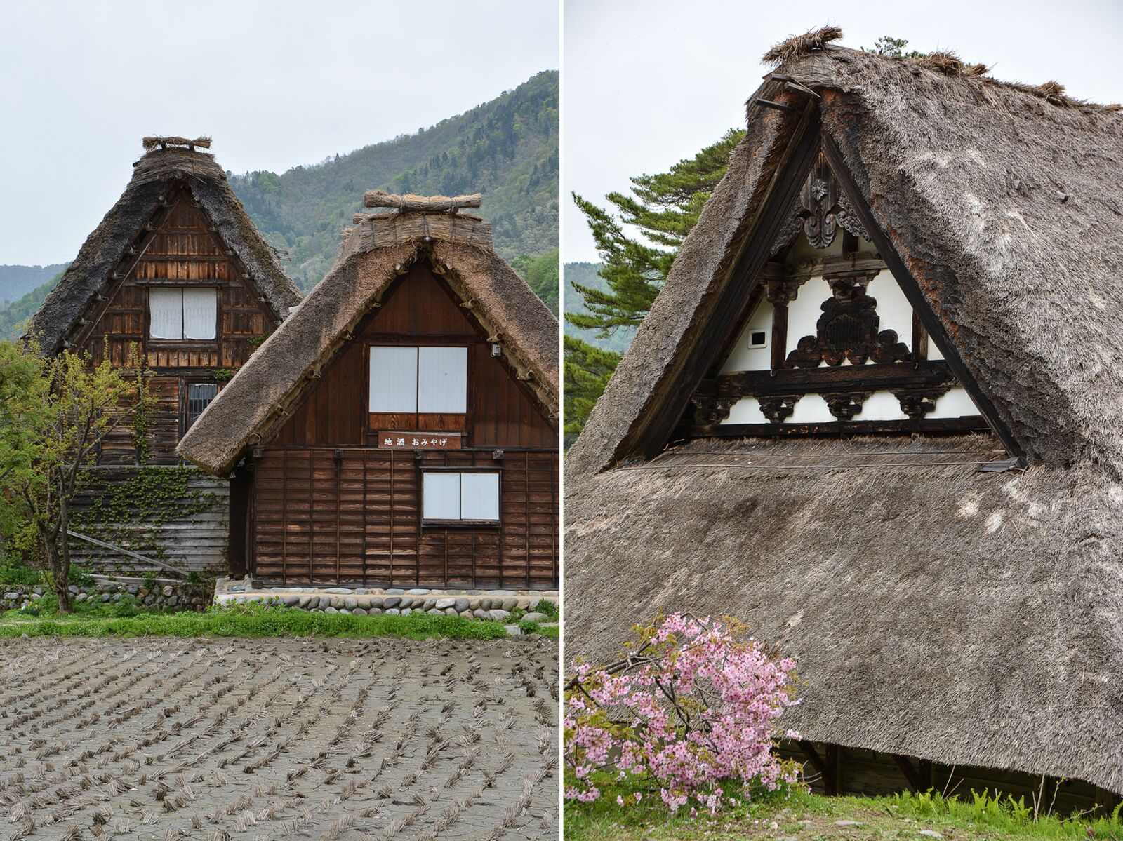voyage dans le village d'Ogimachi dans les Alpes Japonaises au Japon dans la région de Shirakawa-Go