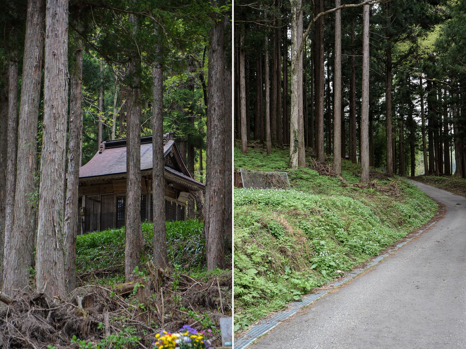voyage dans le village d'Ogimachi dans les Alpes Japonaises au Japon dans la région de Shirakawa-Go