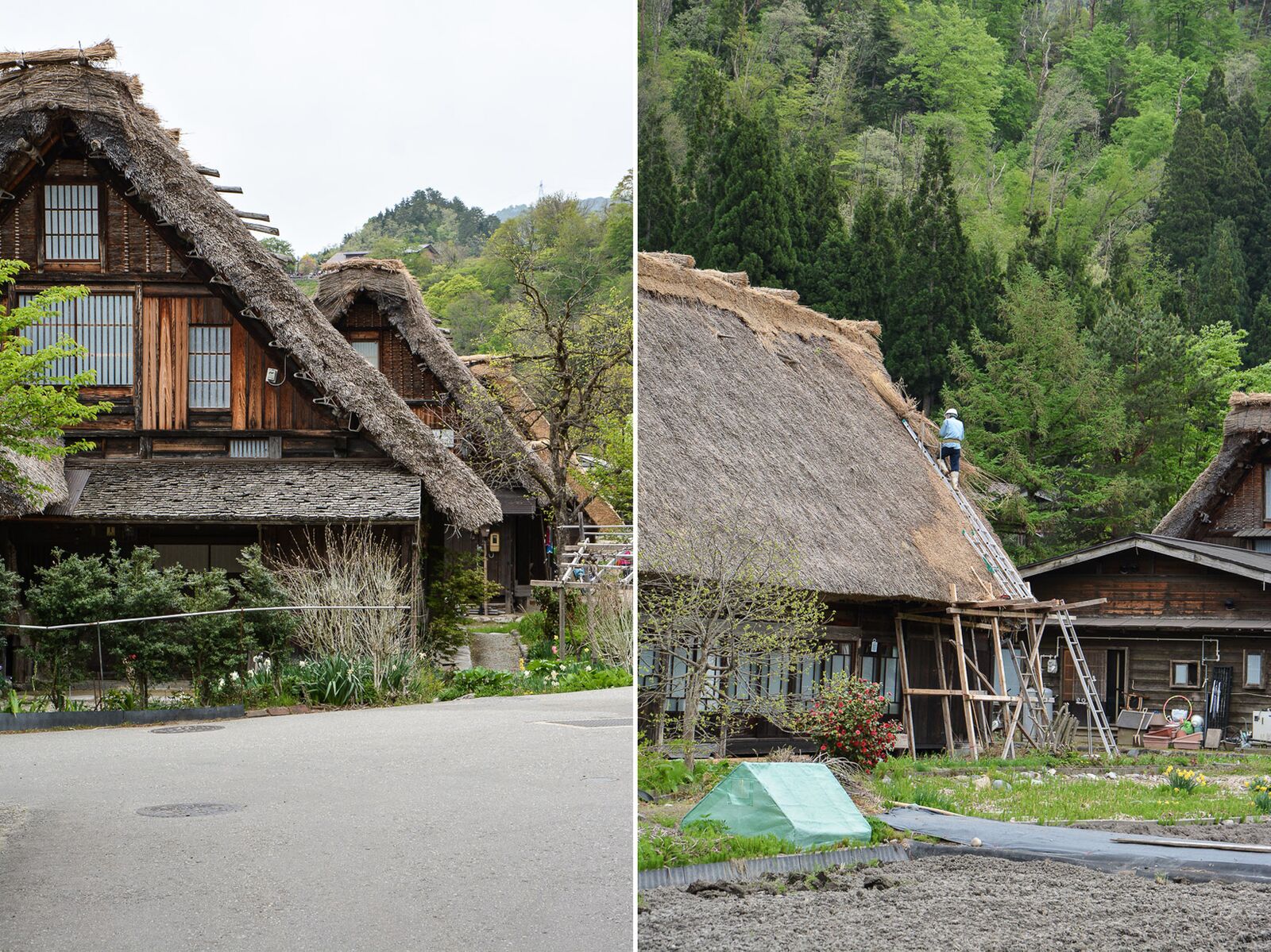 voyage dans le village d'Ogimachi dans les Alpes Japonaises au Japon dans la région de Shirakawa-Go
