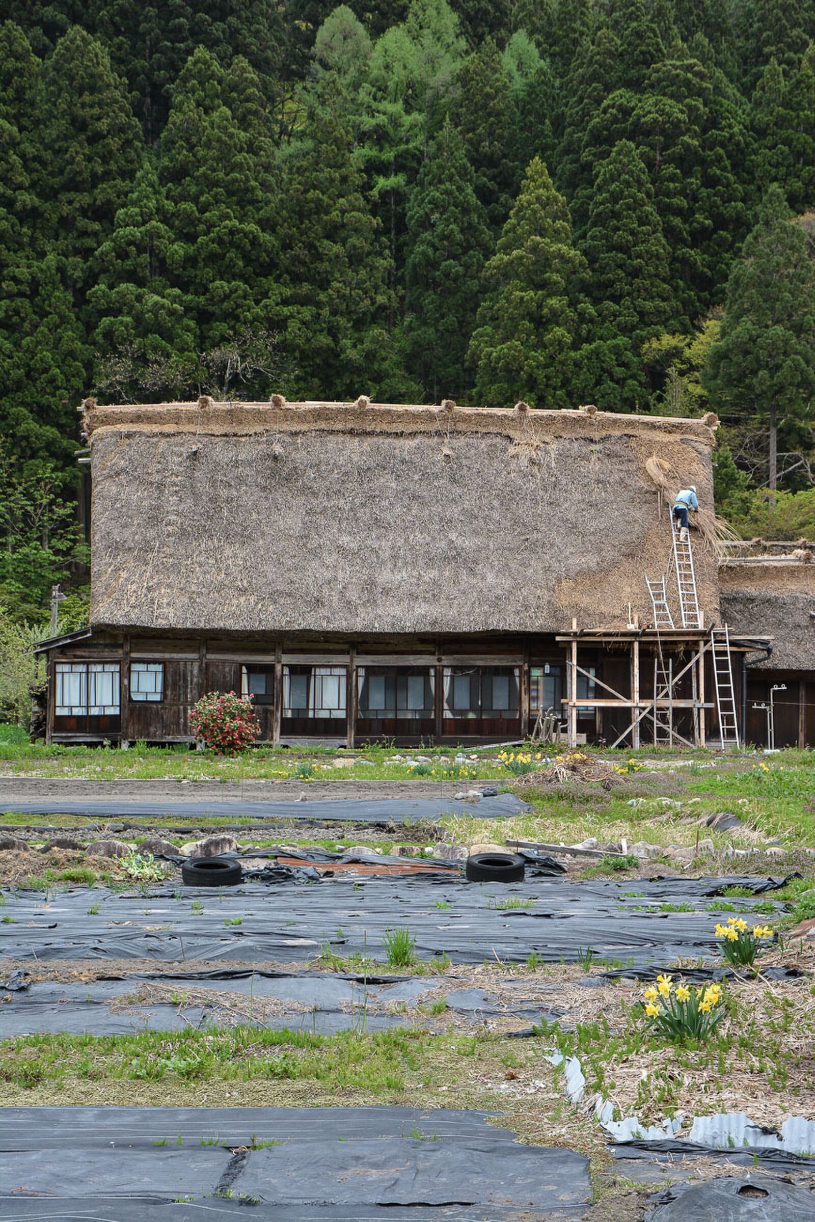 voyage dans le village d'Ogimachi dans les Alpes Japonaises au Japon dans la région de Shirakawa-Go