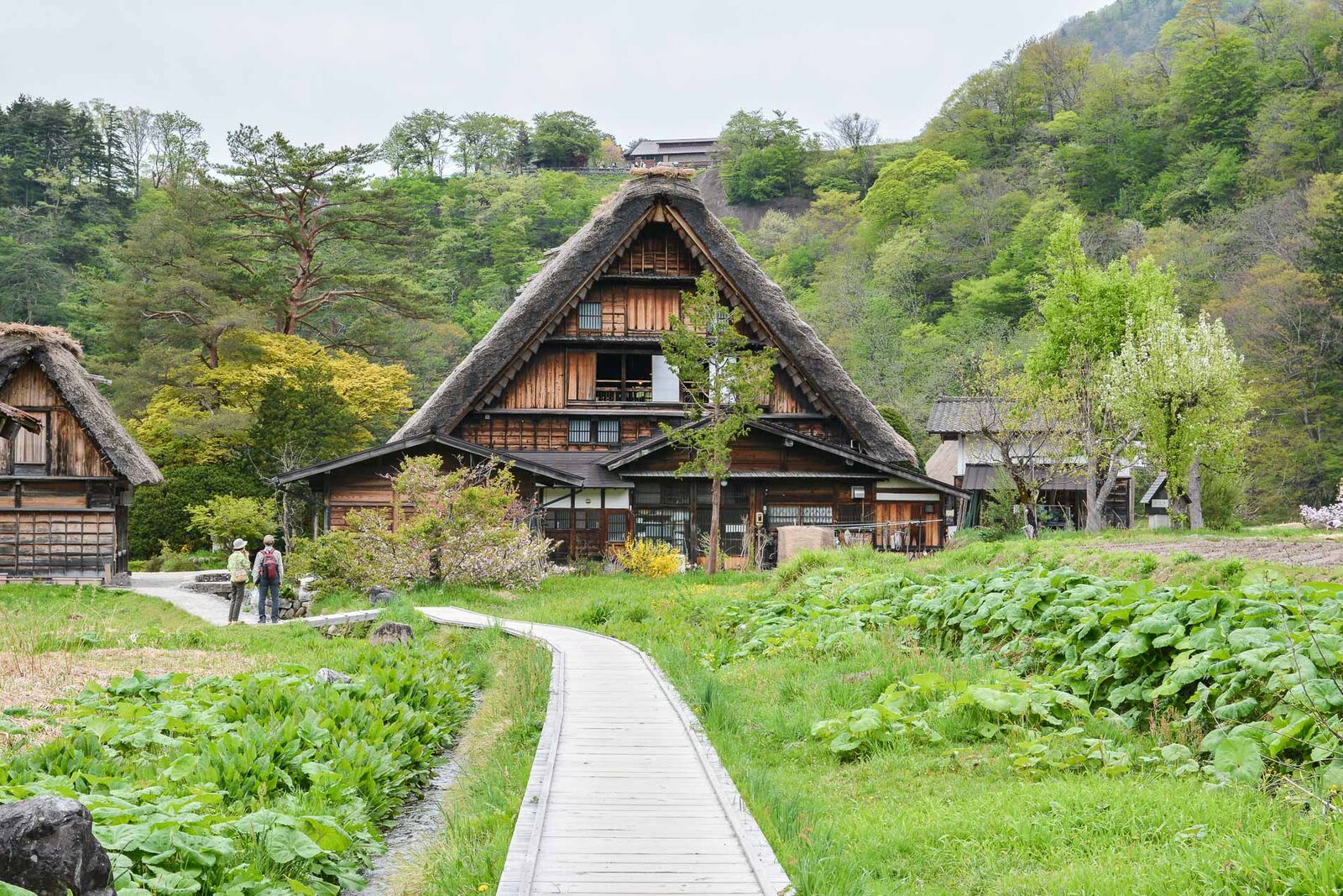 voyage dans le village d'Ogimachi dans les Alpes Japonaises au Japon dans la région de Shirakawa-Go