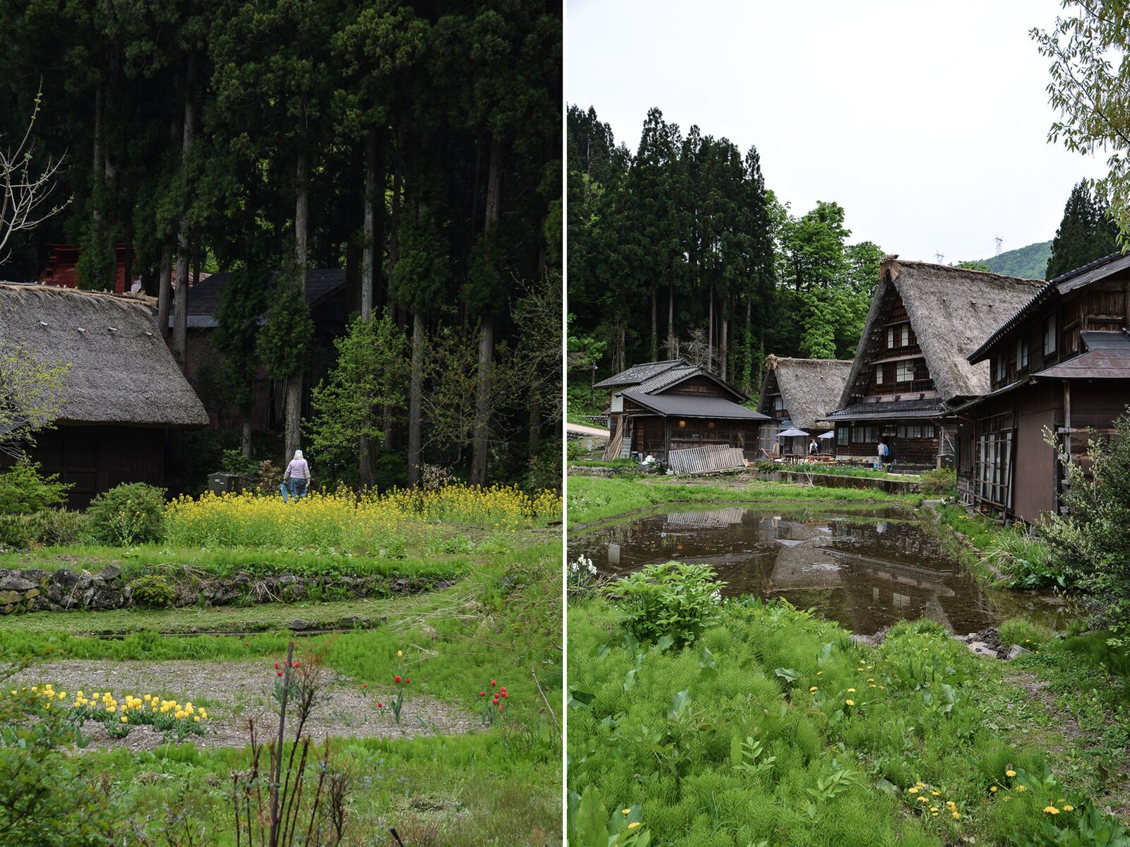 voyage dans le village Suganuma dans les Alpes Japonaises au Japon dans la région de Shirakawa-go