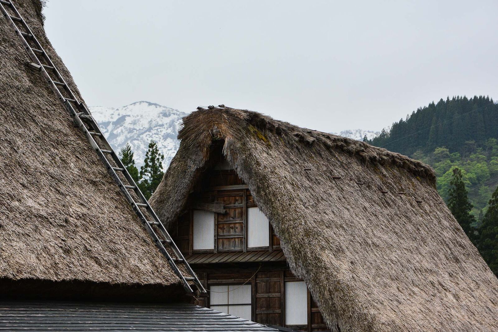 voyage dans le village Ainokura dans les Alpes Japonaises au Japon dans la région de Shirakawa-go
