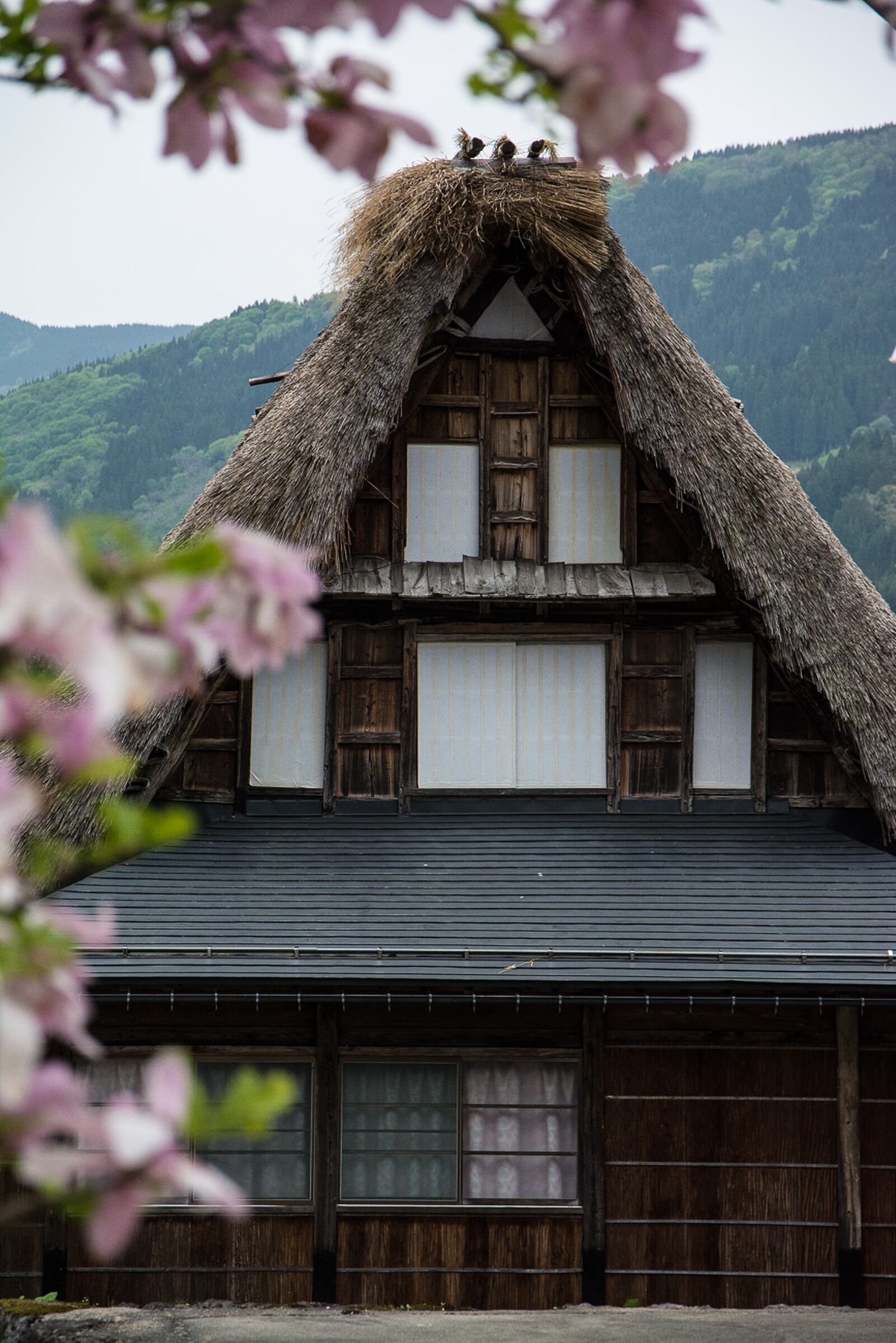 voyage dans le village Ainokura dans les Alpes Japonaises au Japon dans la région de Shirakawa-go