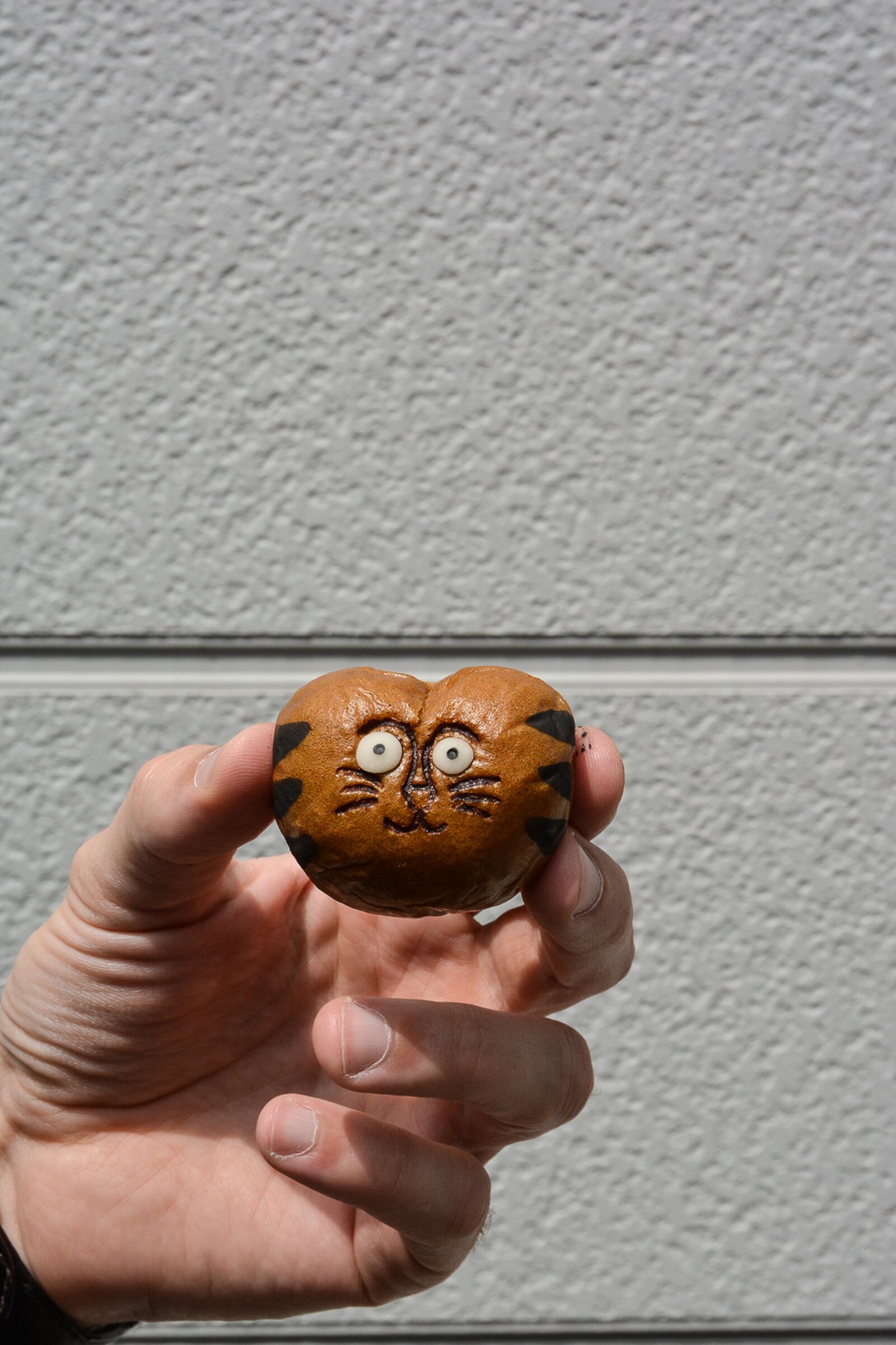 où manger en voyage à Takayama, dans les alpes japonaises, Japon