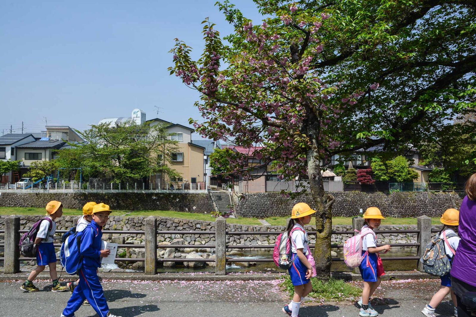 le marché matinale de Takayama le long de la rivière Miyagawa