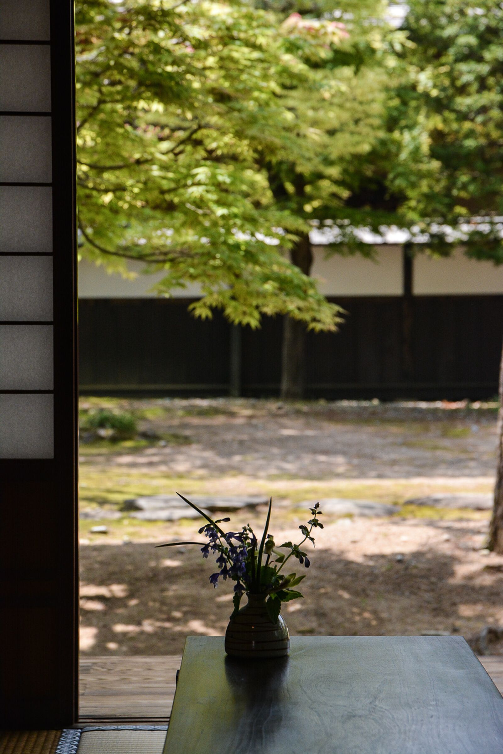 Le Takayama Jinja à Takayama, dans les alpes japonaises, Japon