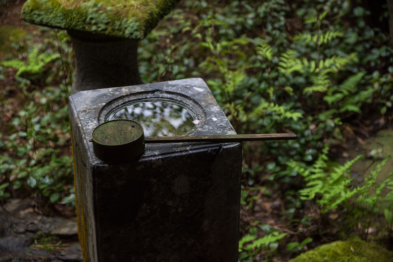 Kusakabe Folk Museum à Takayama dans les alpes japonaises, Japon
