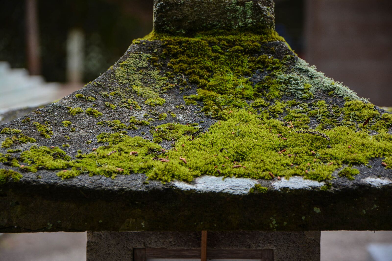 Sakurayama Hachiman-gū Shrine à Takayama dans les Alpes japonaises, Japon
