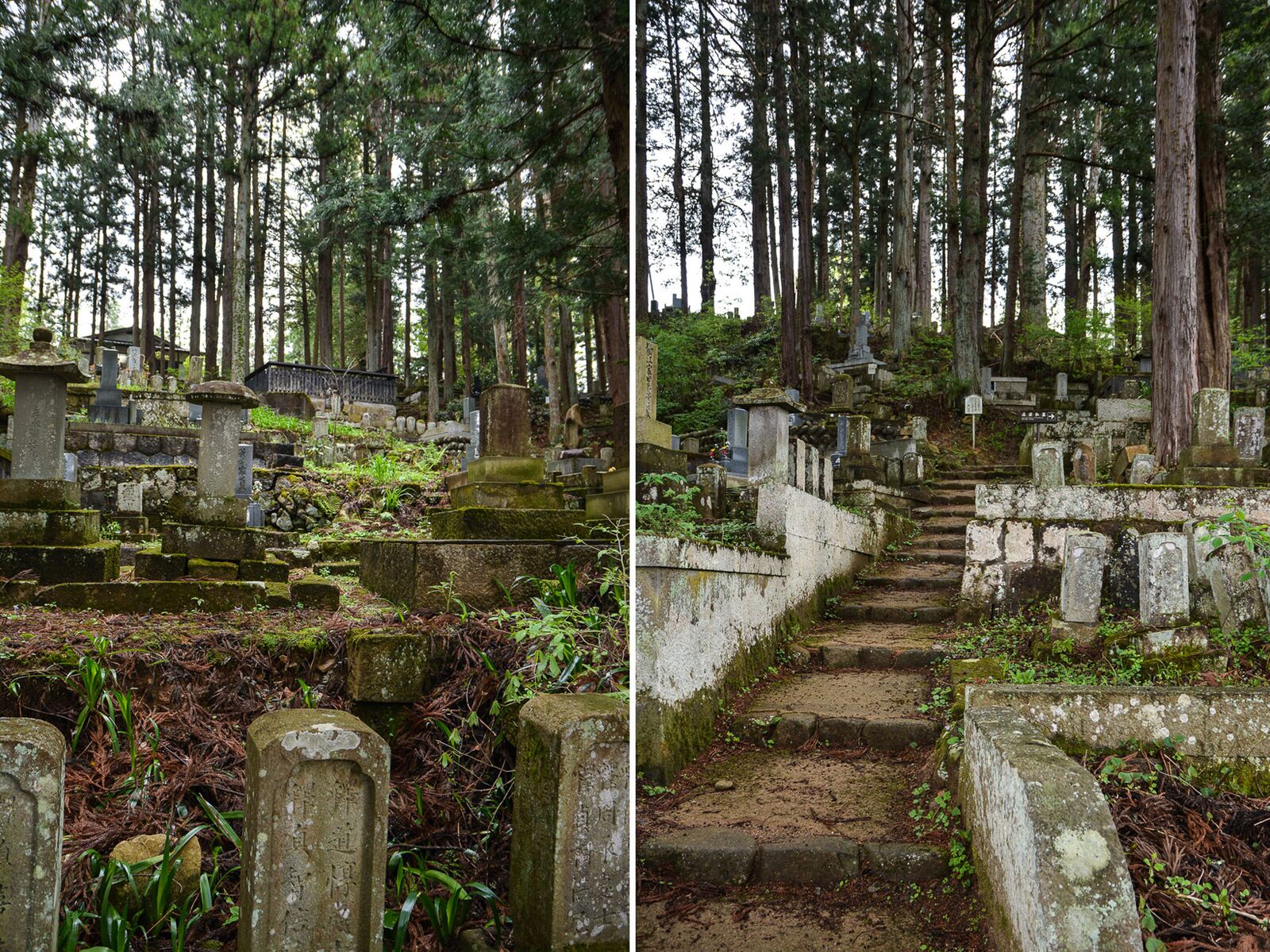  temples de Higashiyama Teramachi avec le sanctuaire Higashiyama Hakusanjinja à Takayama dans les alpes japonaises, Japon