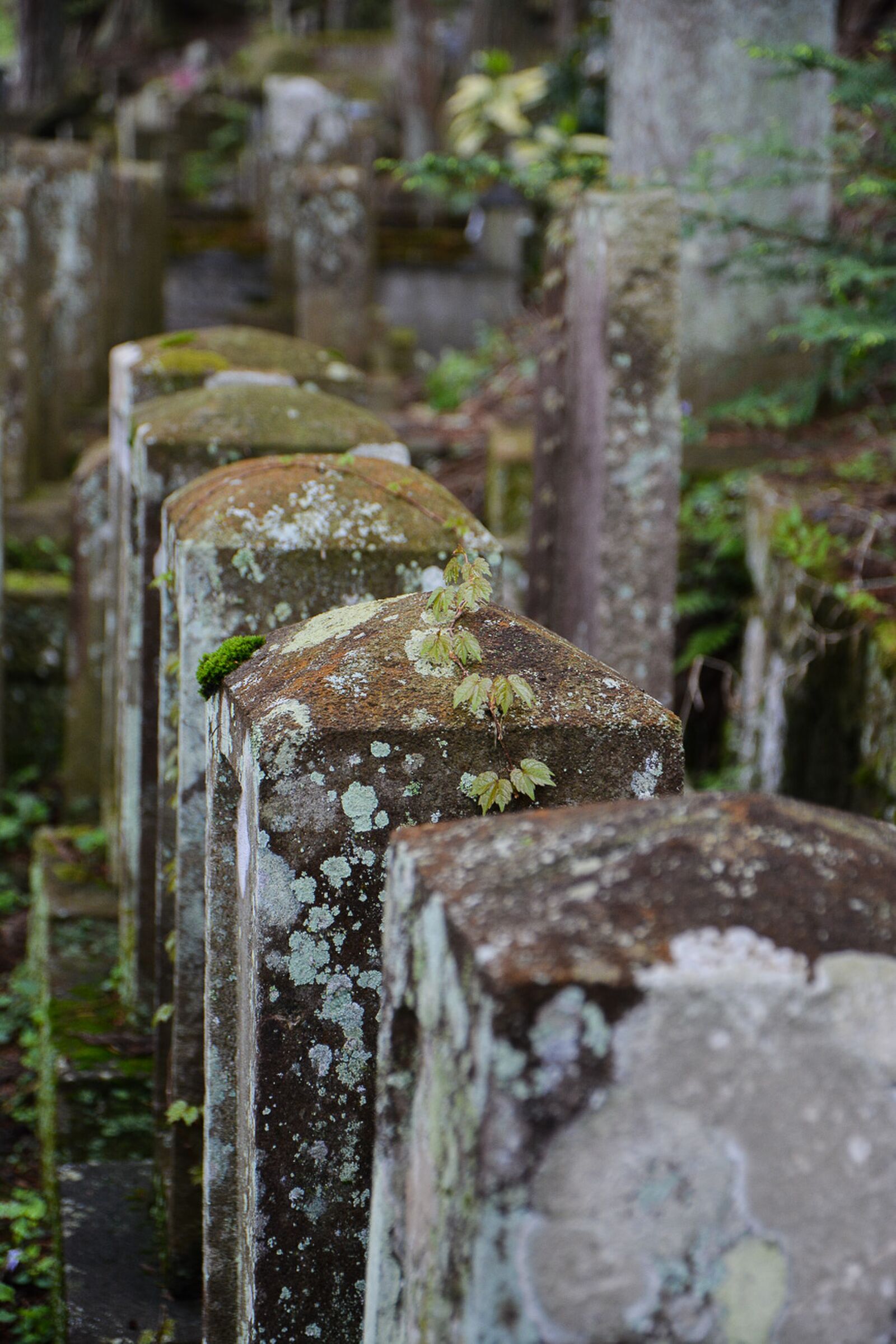  temples de Higashiyama Teramachi avec le sanctuaire Higashiyama Hakusanjinja à Takayama dans les alpes japonaises, Japon
