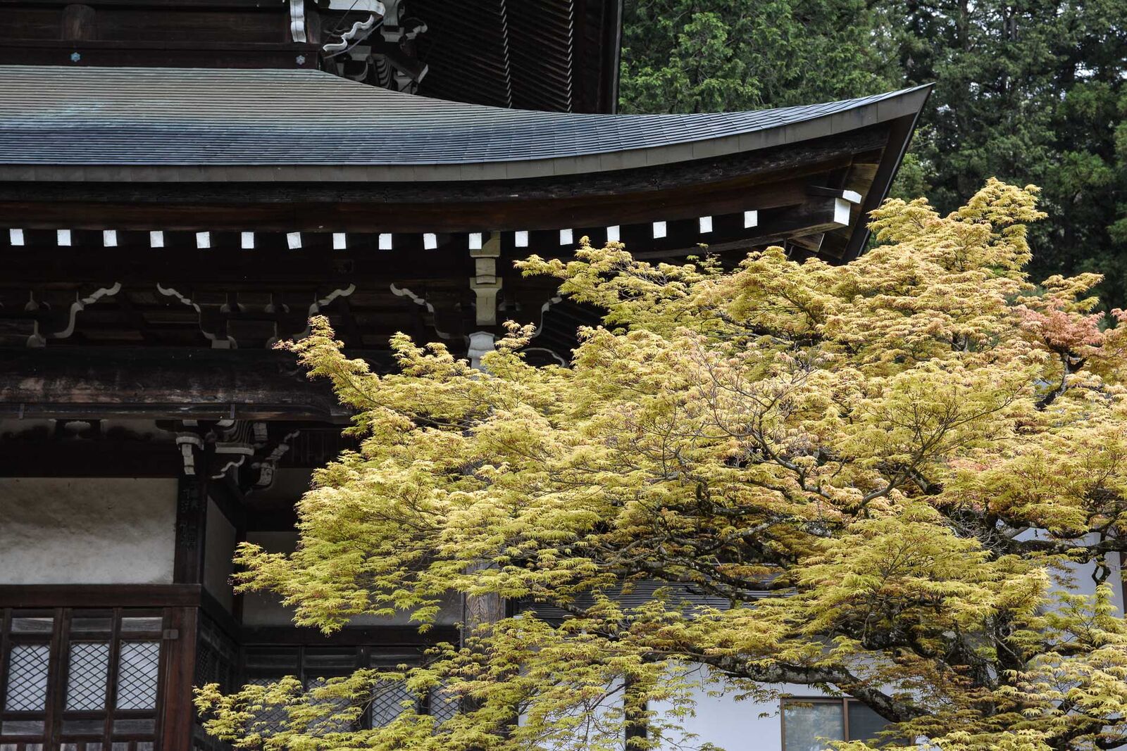 temples de Higashiyama Teramachi à Takayama dans les alpes japonaises, Japon