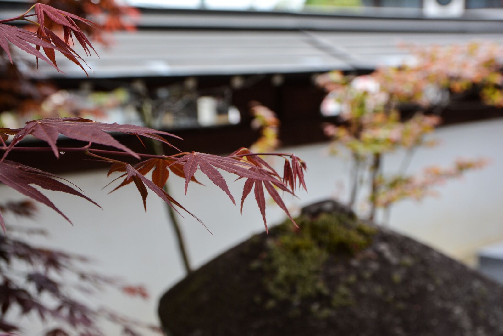 temples de Higashiyama Teramachi avec le sanctuaire Higashiyama Hakusanjinja à Takayama dans les alpes japonaises, Japon