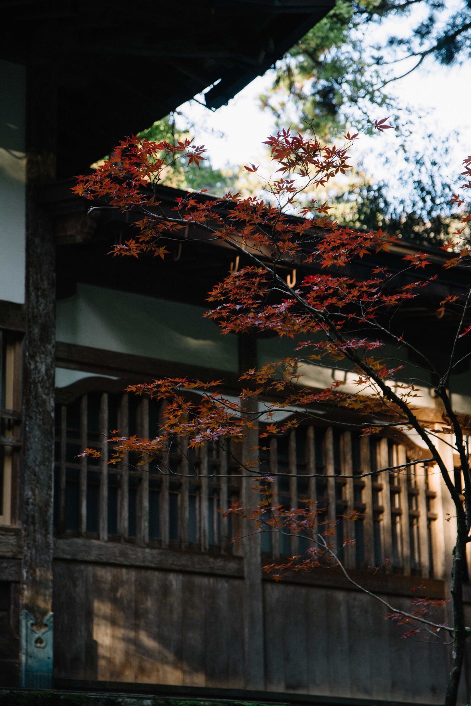 Visiter et dormir dans le temple zazen Eiheiji dans la préfecture de Fukuin, au Japon