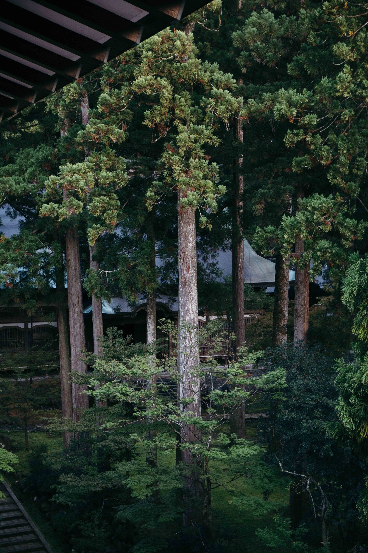 Visiter et dormir dans le temple zazen Eiheiji dans la préfecture de Fukuin, au Japon