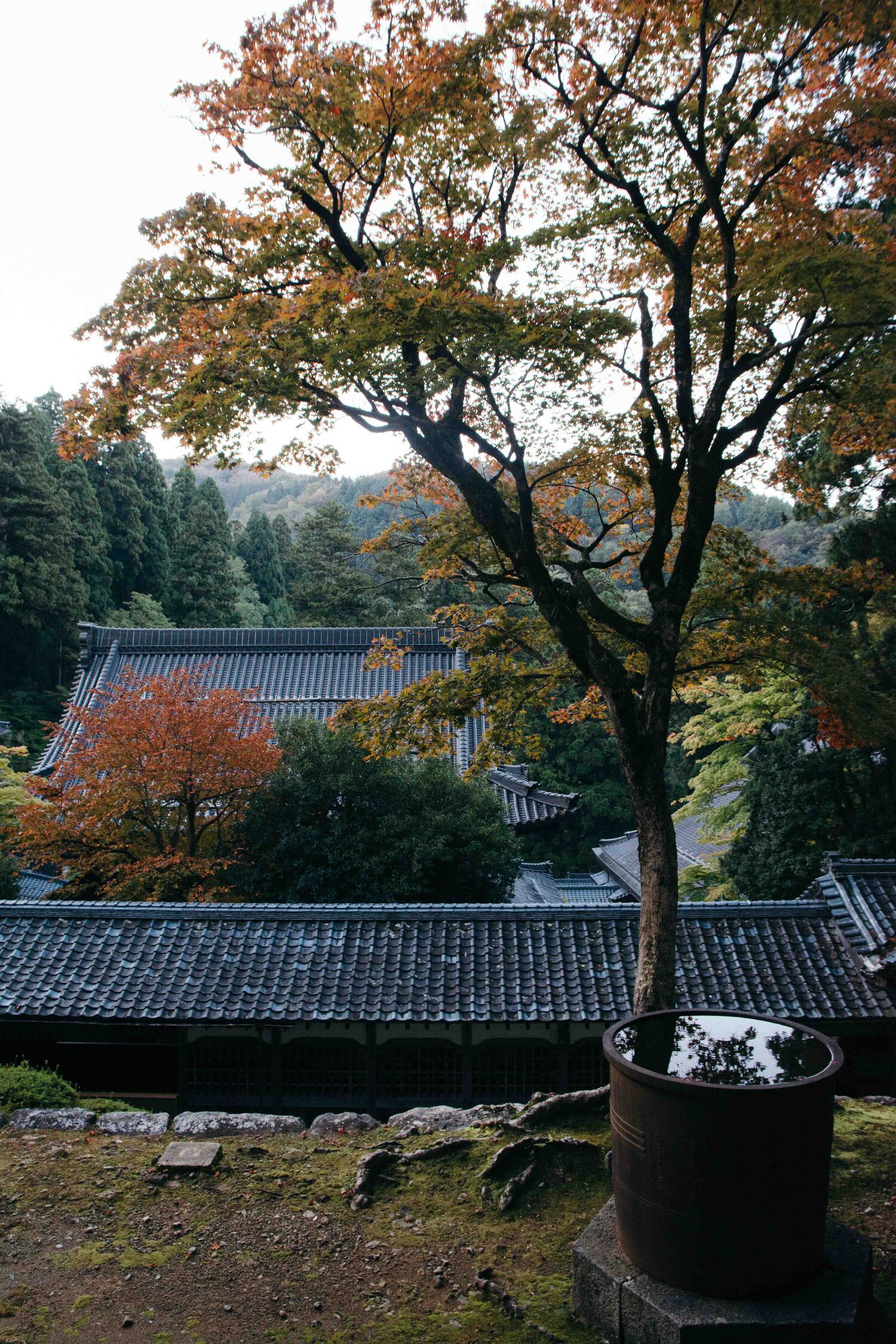 Visiter et dormir dans le temple zazen Eiheiji dans la préfecture de Fukuin, au Japon