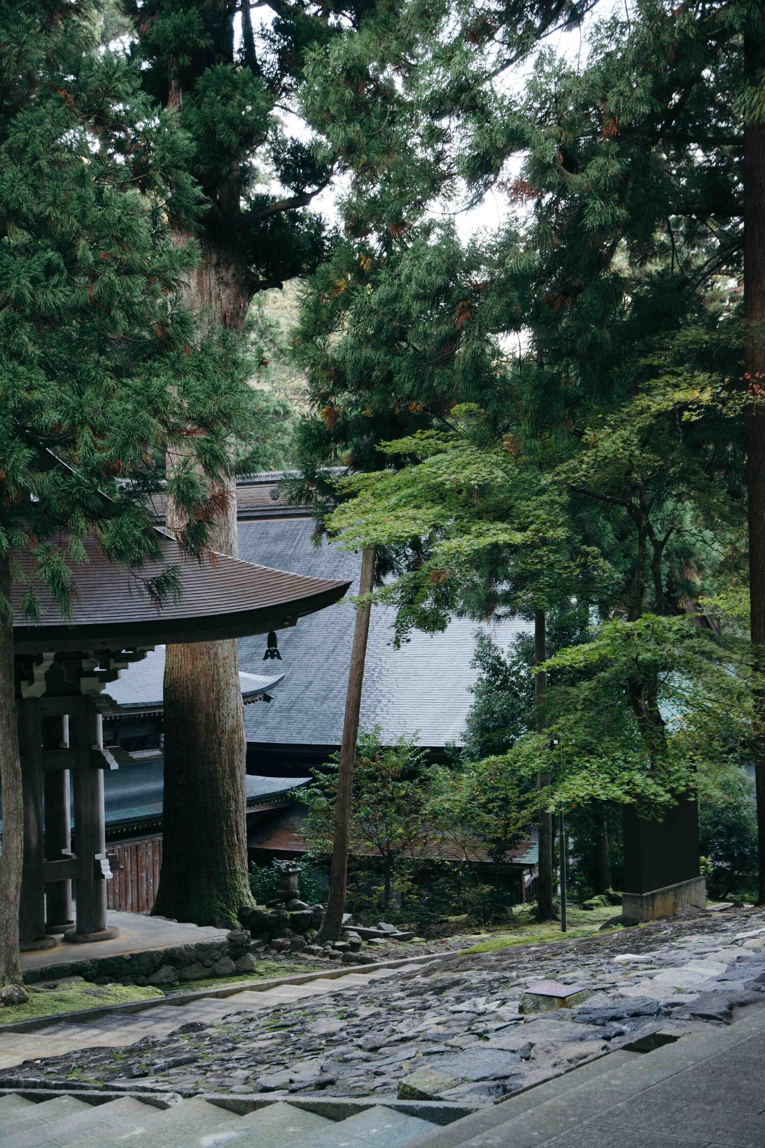 Visiter et dormir dans le temple zazen Eiheiji dans la préfecture de Fukuin, au Japon