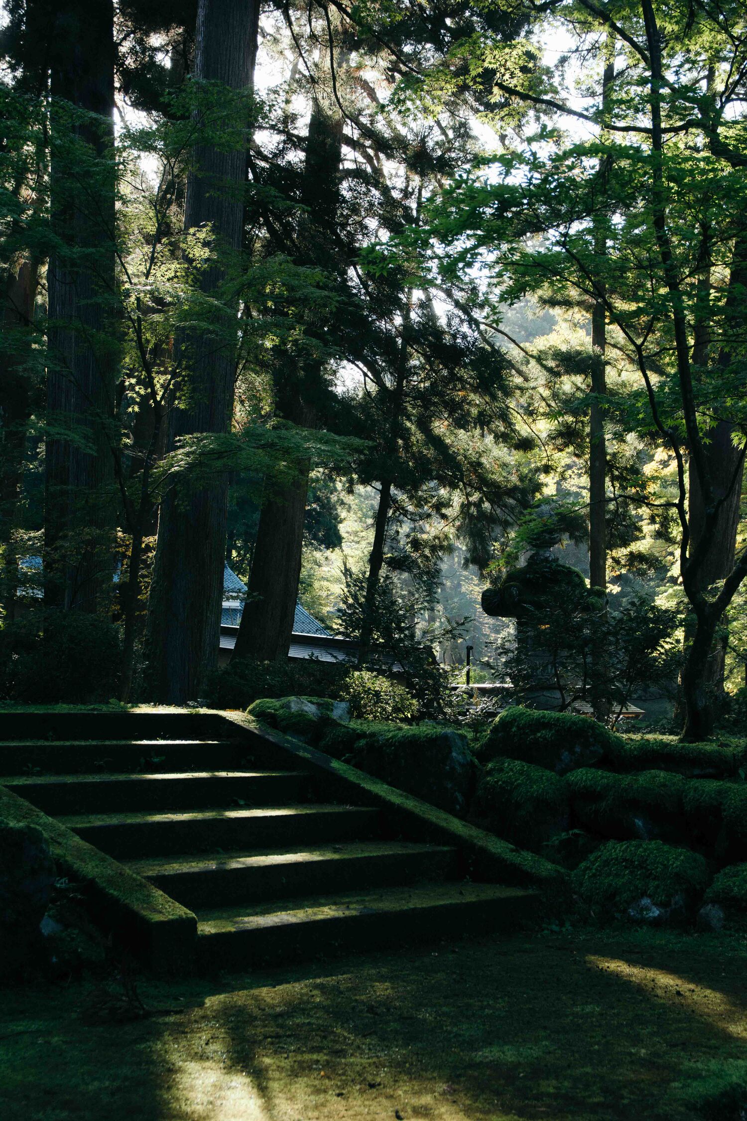 Visiter et dormir dans le temple zazen Eiheiji dans la préfecture de Fukuin, au Japon
