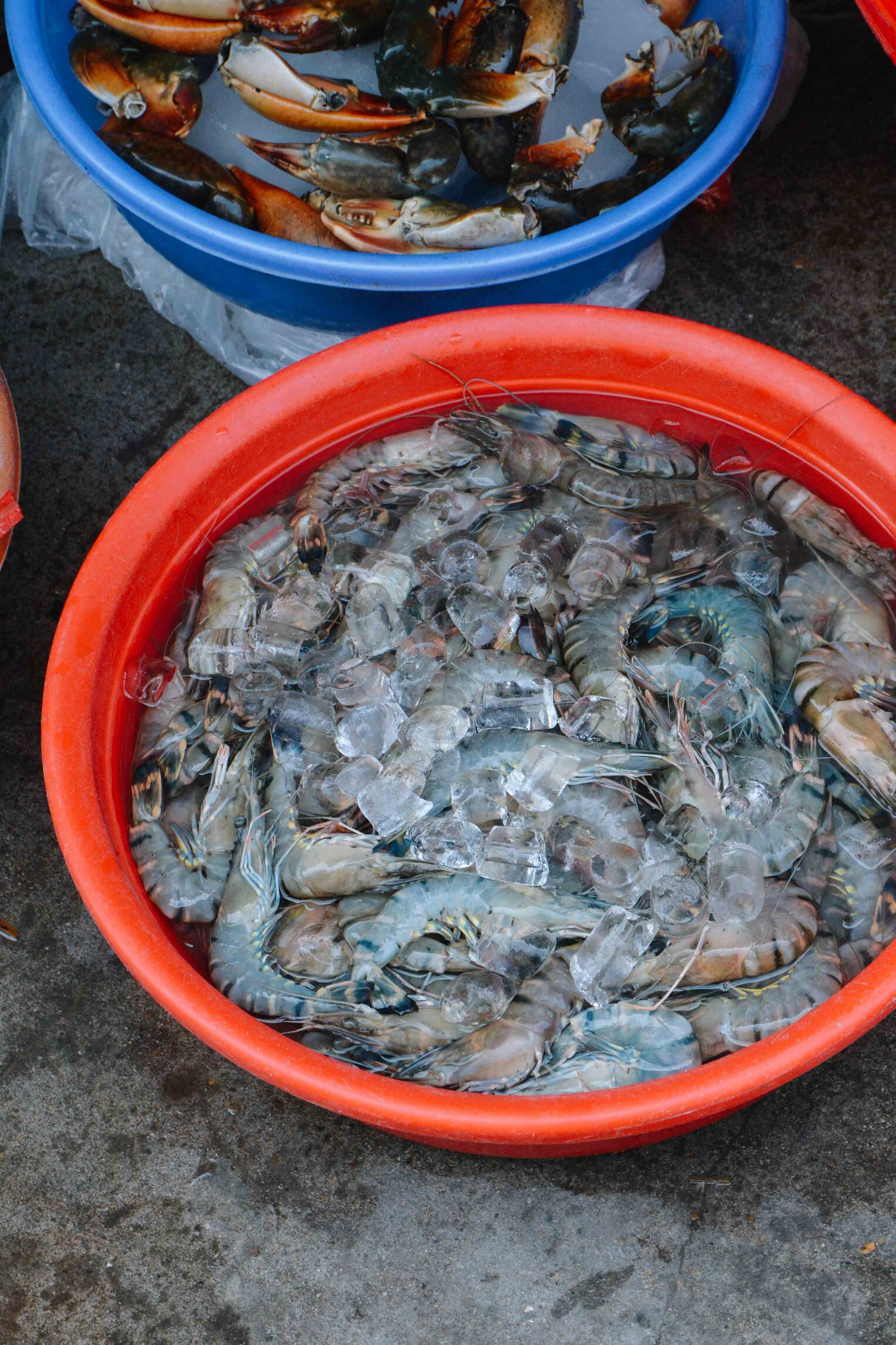 le marché de Hanoi, au Vietnam