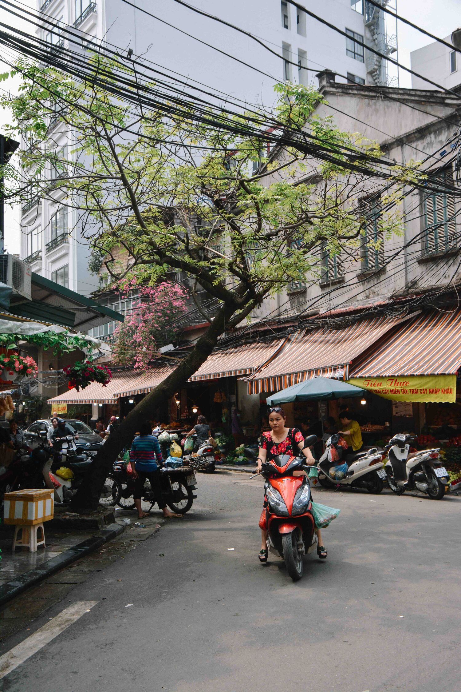 le quartier des 36 corporations à Hanoi, au Vietnam